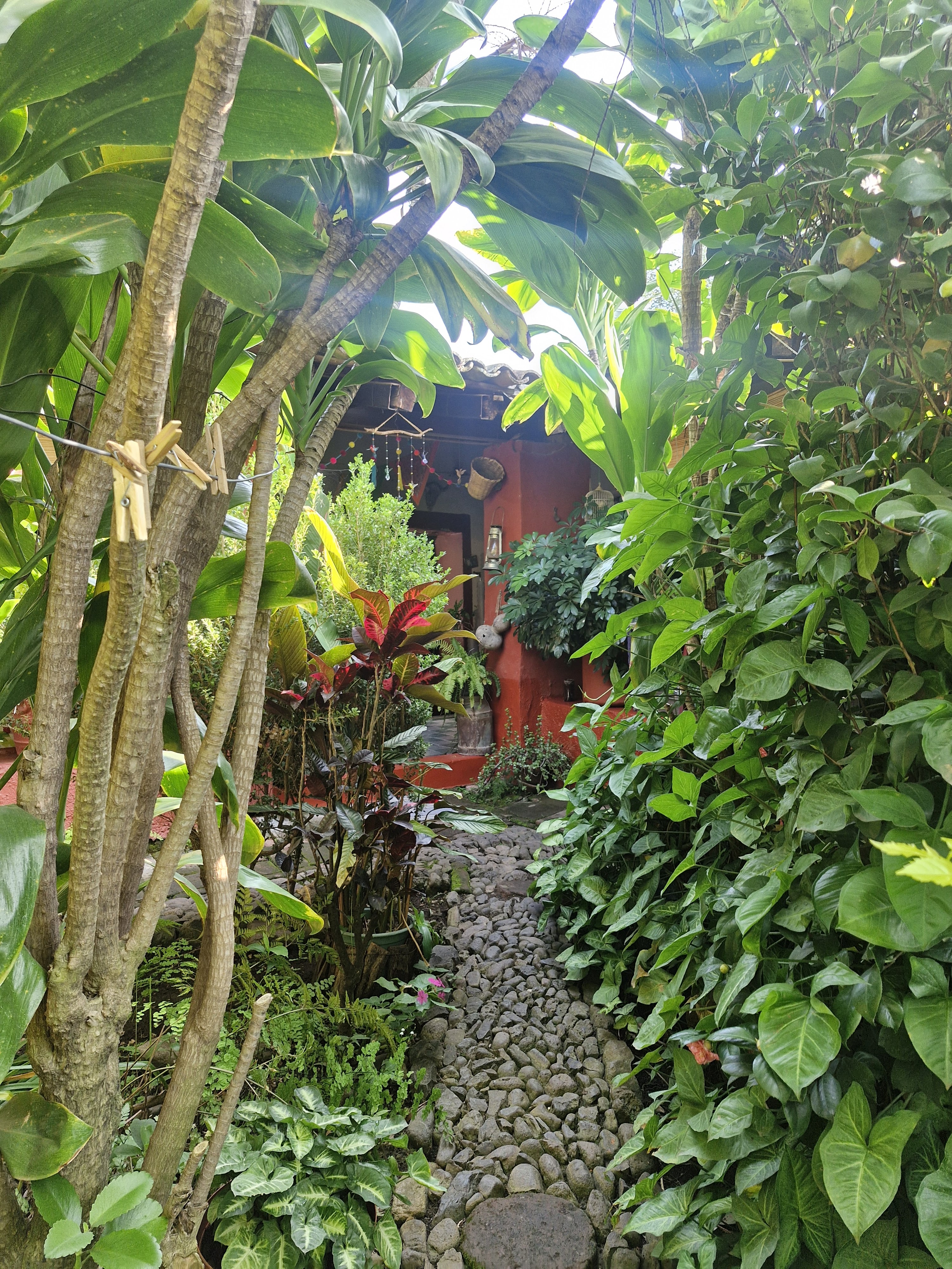 Casa Amacueca, Fonda del Pueblo image 9