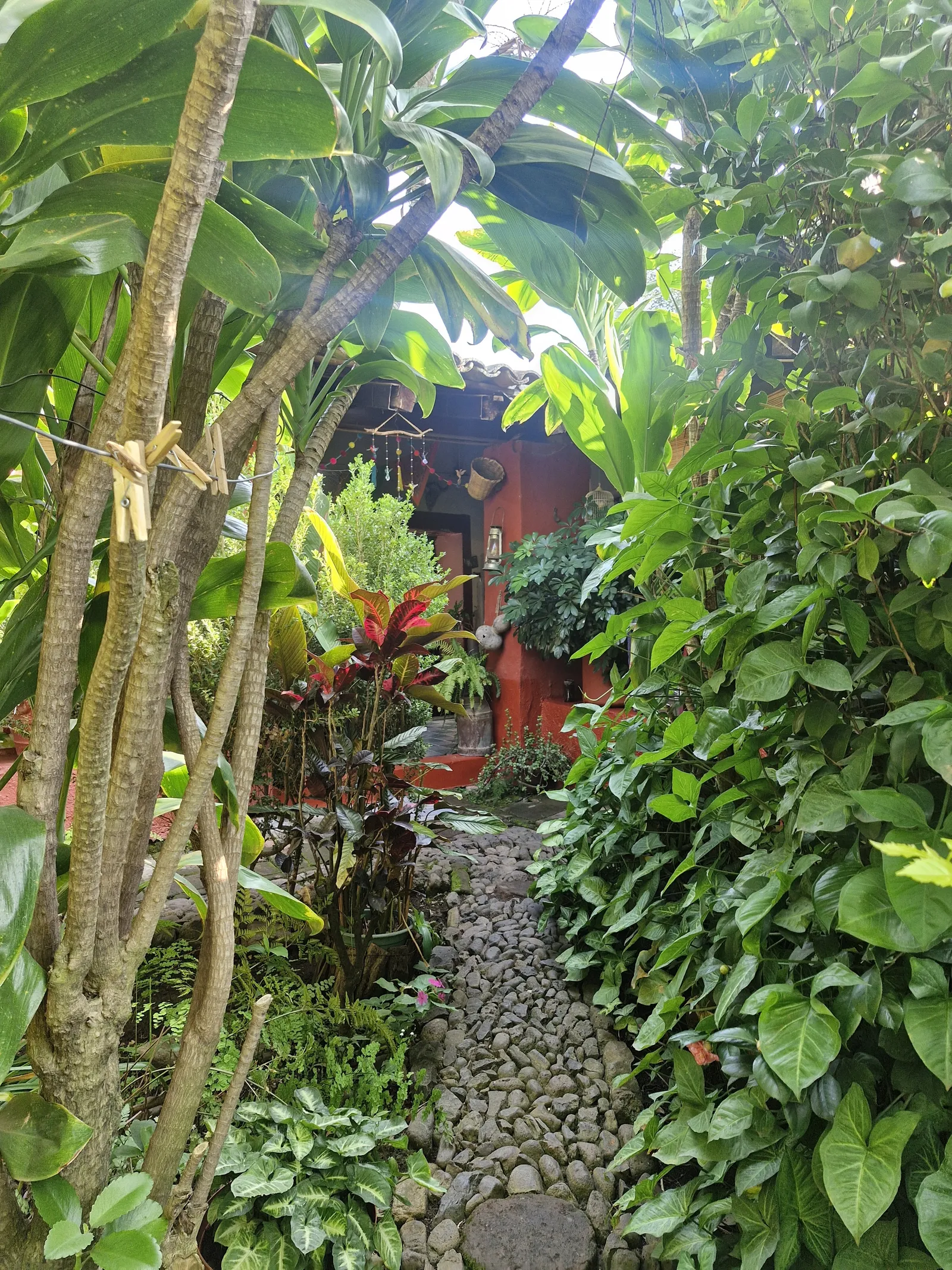 Casa Amacueca, Fonda del Pueblo image 9