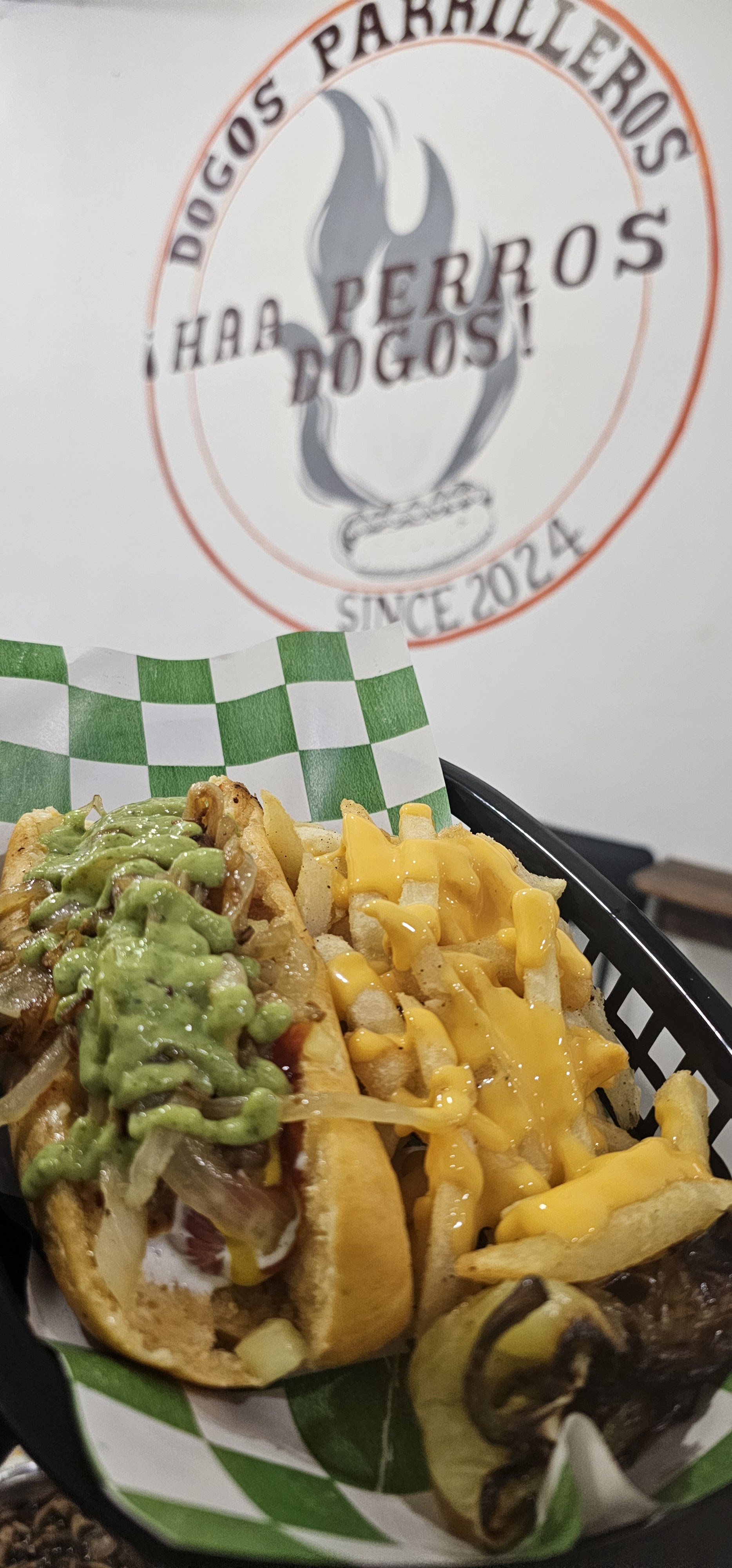 Haaa Perros Dogos image 6