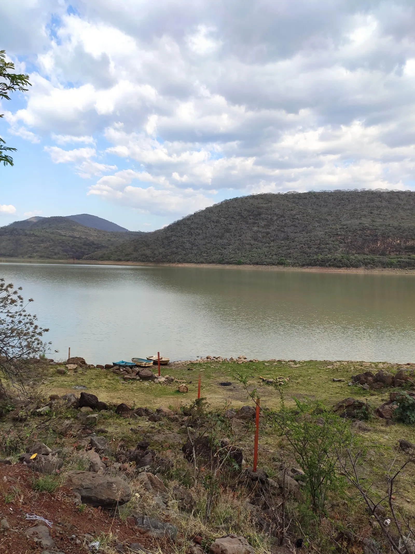 Presa La Joya image 6