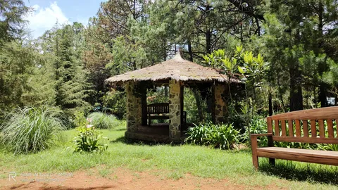 La Mezcalera Restaurant image 8