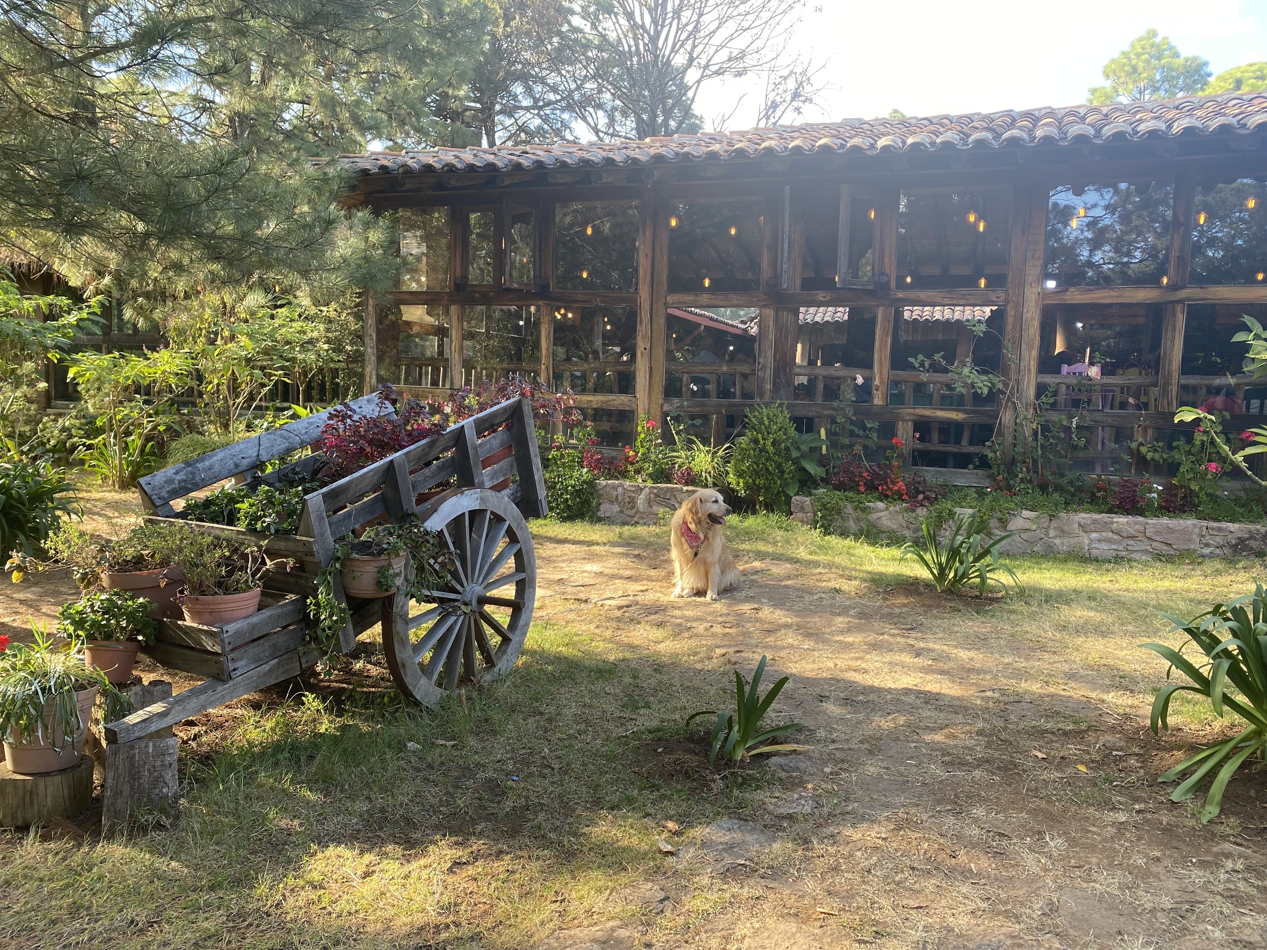 La Mezcalera Restaurant image 9