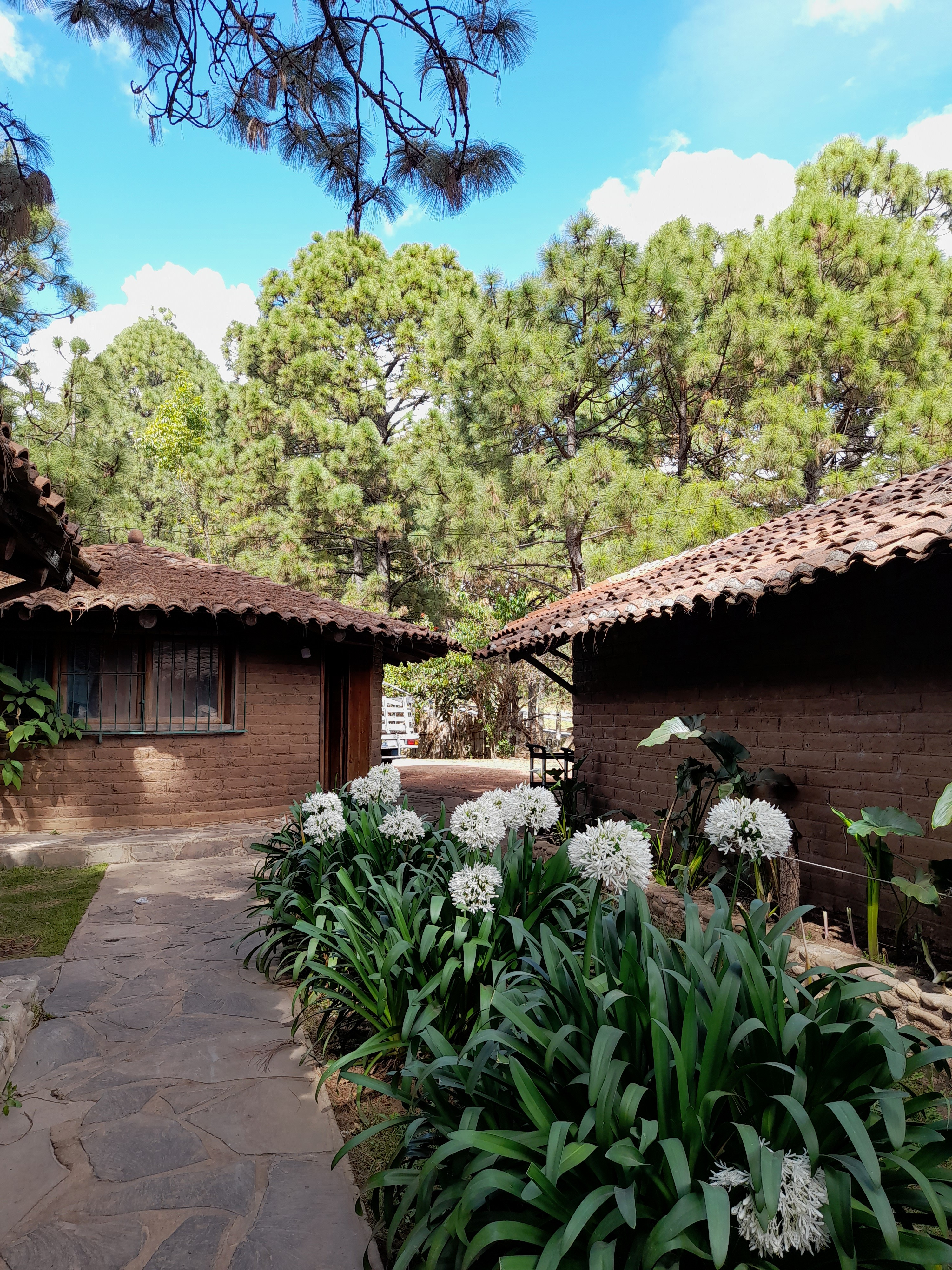 La Mezcalera Restaurant image 10