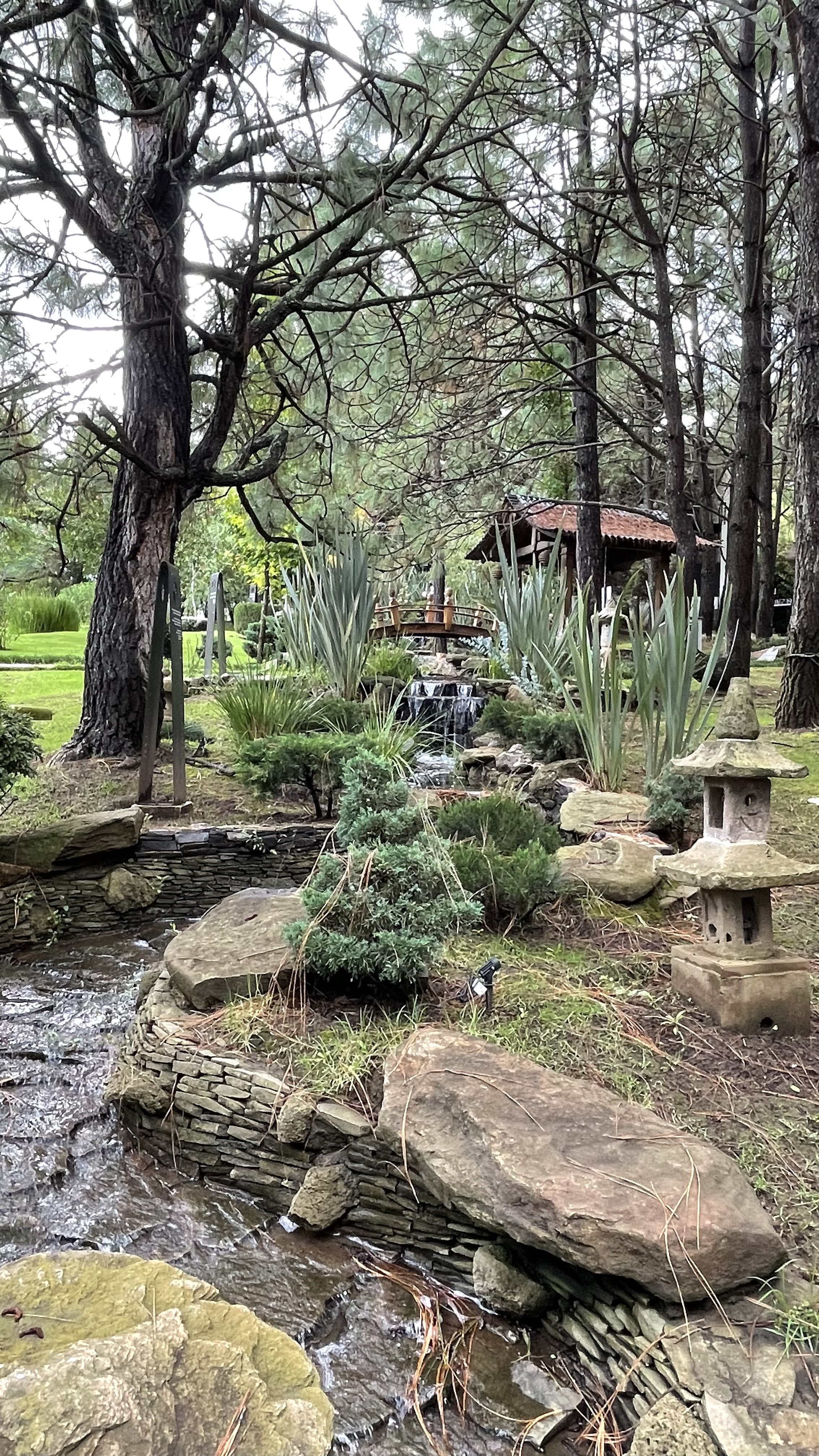 Aura Restaurante image 6