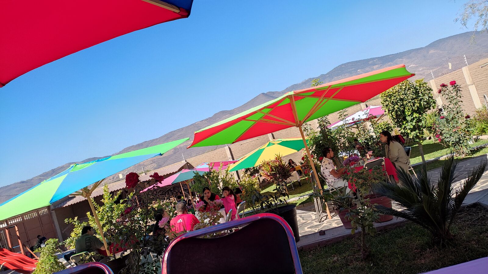 La Finca Restaurante image 6