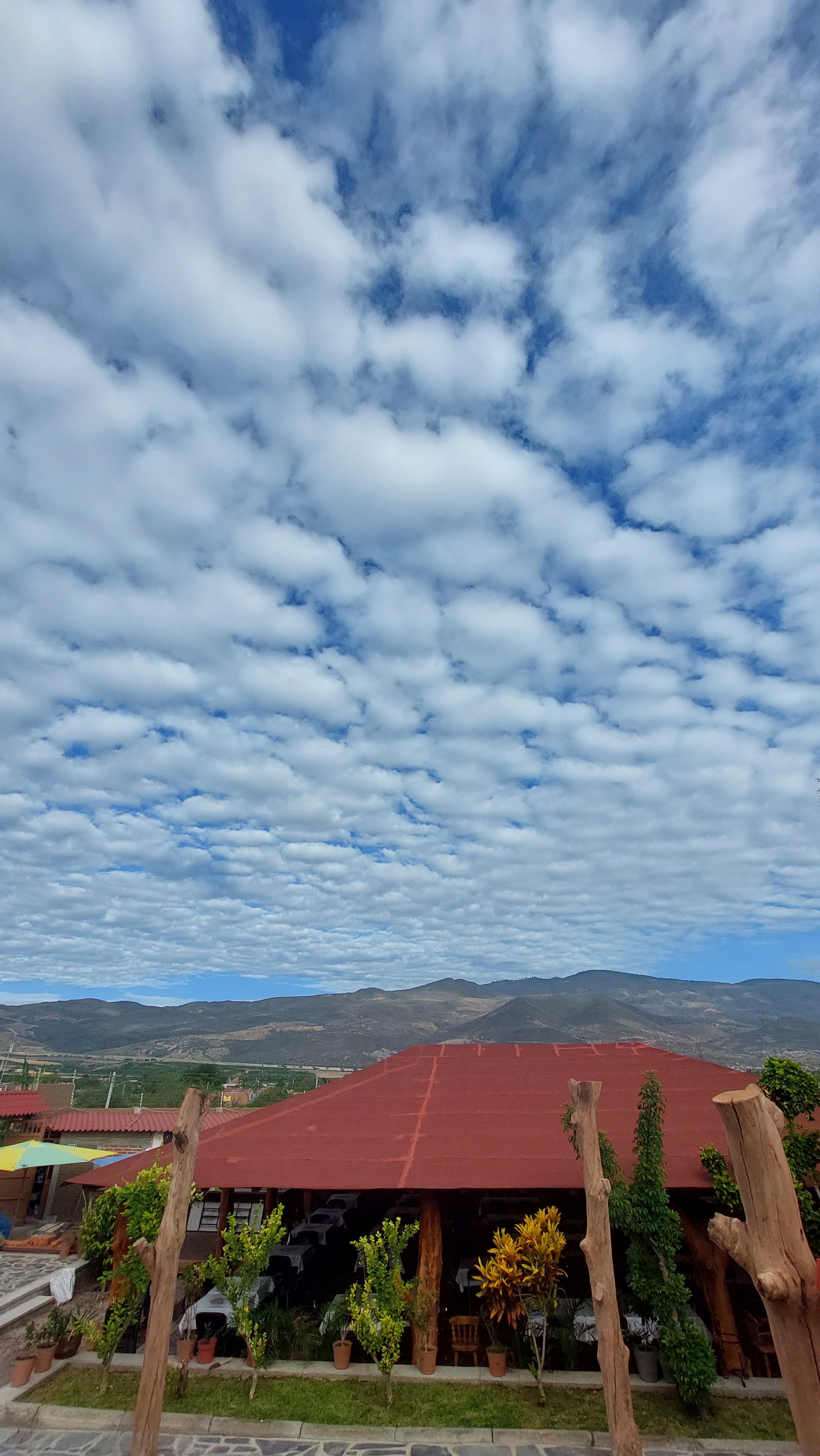La Finca Restaurante image 9