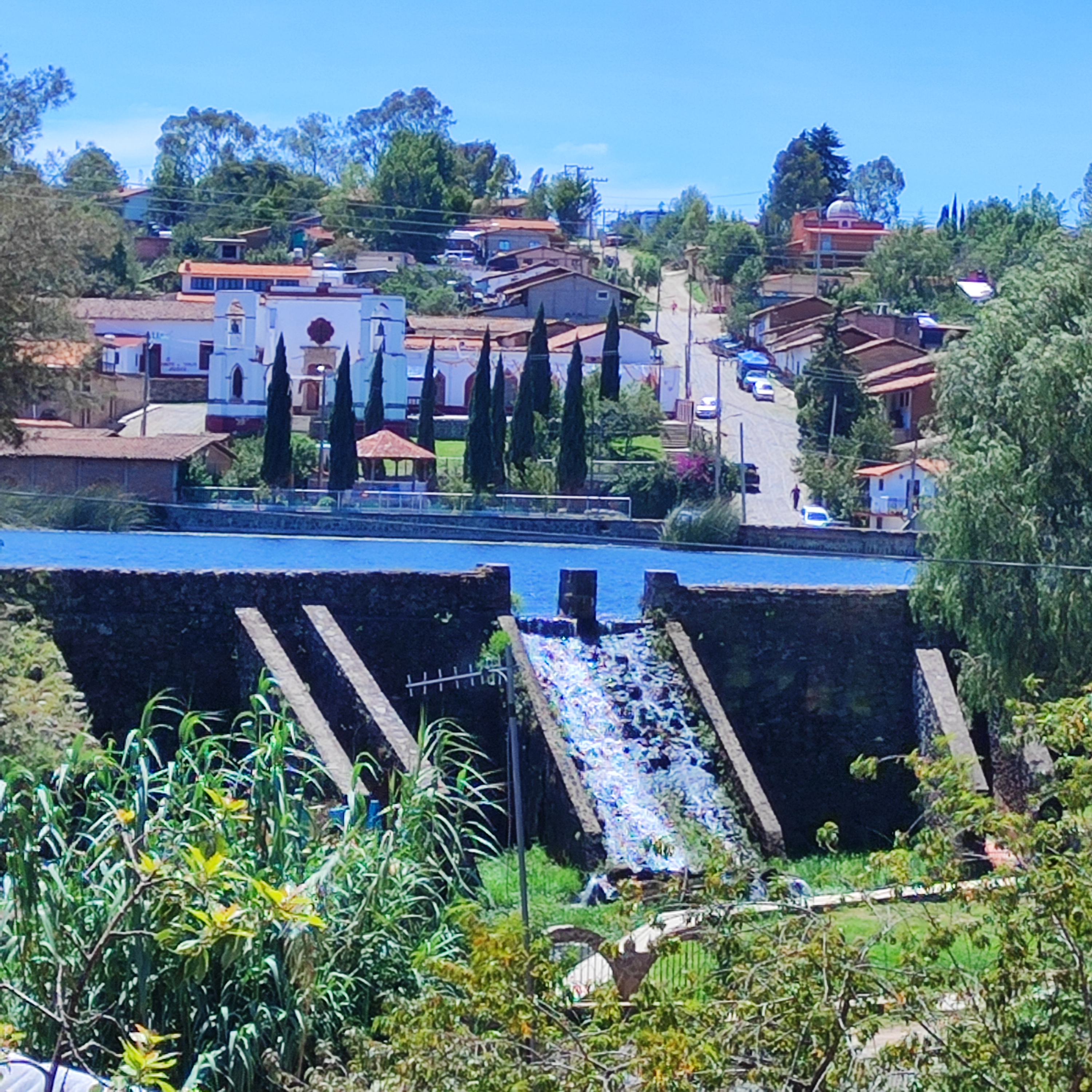 Restaurante Los Pinos image 7