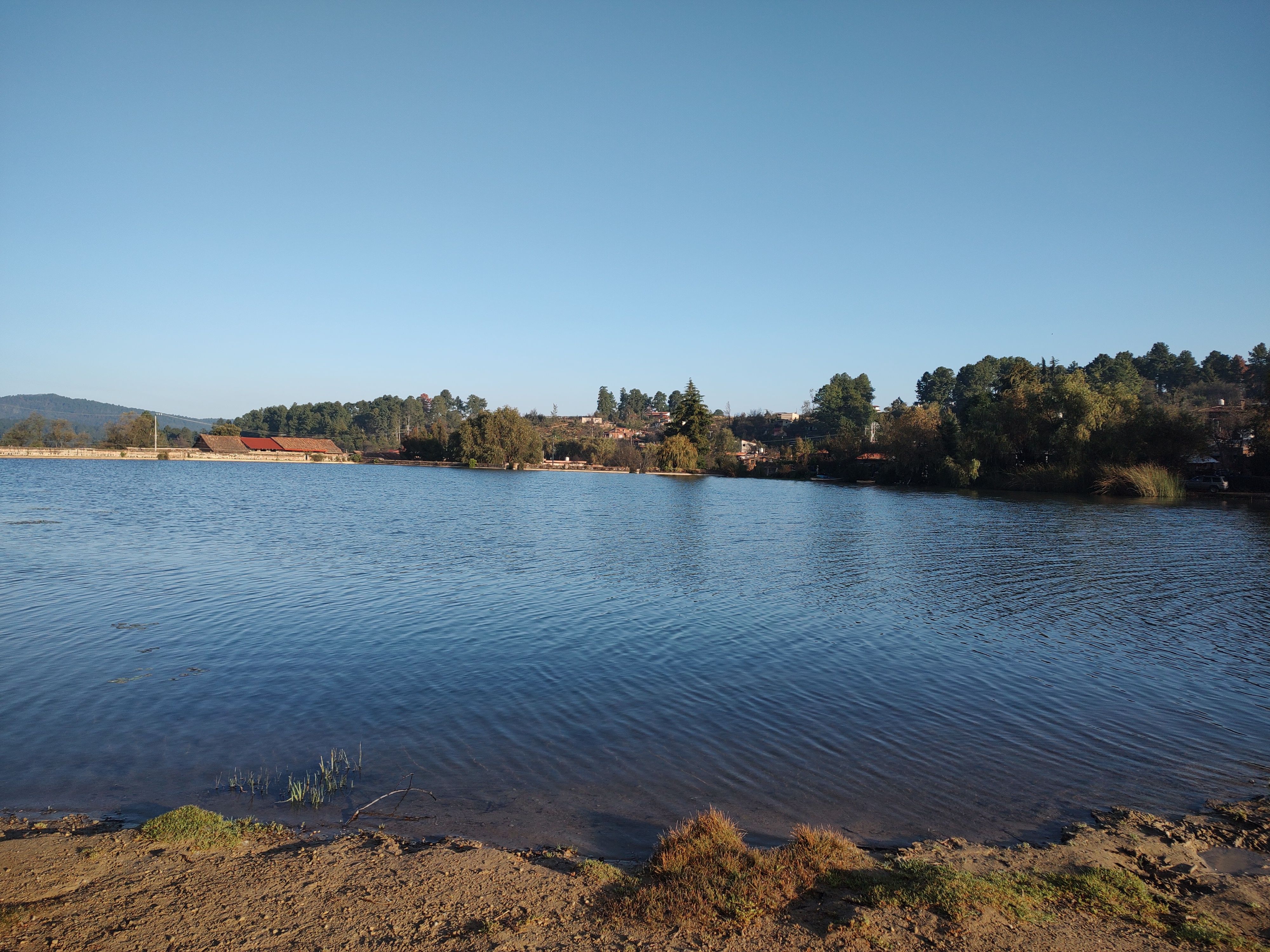 Restaurante Los Pinos image 10