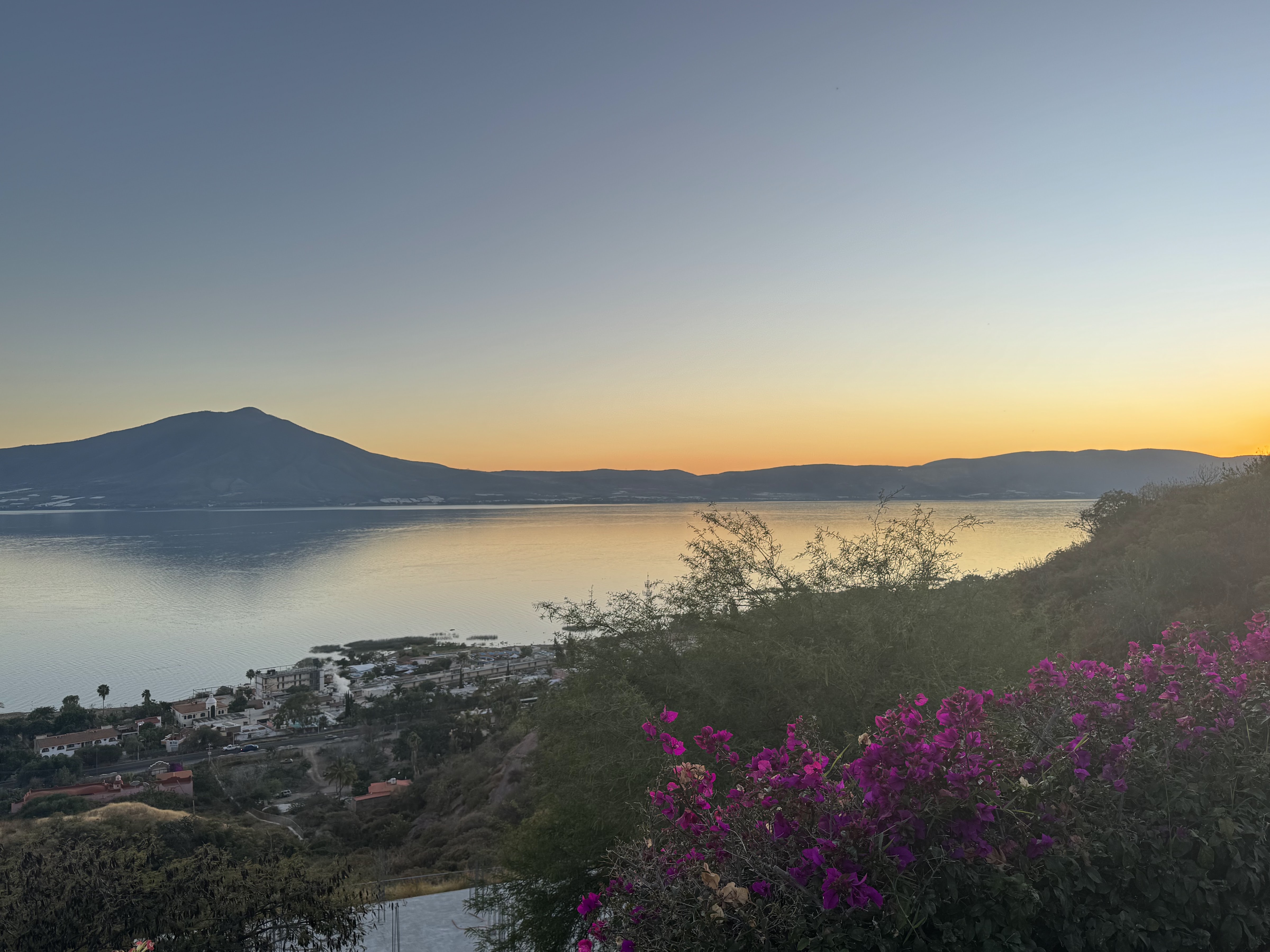 La Vita Bella image 4