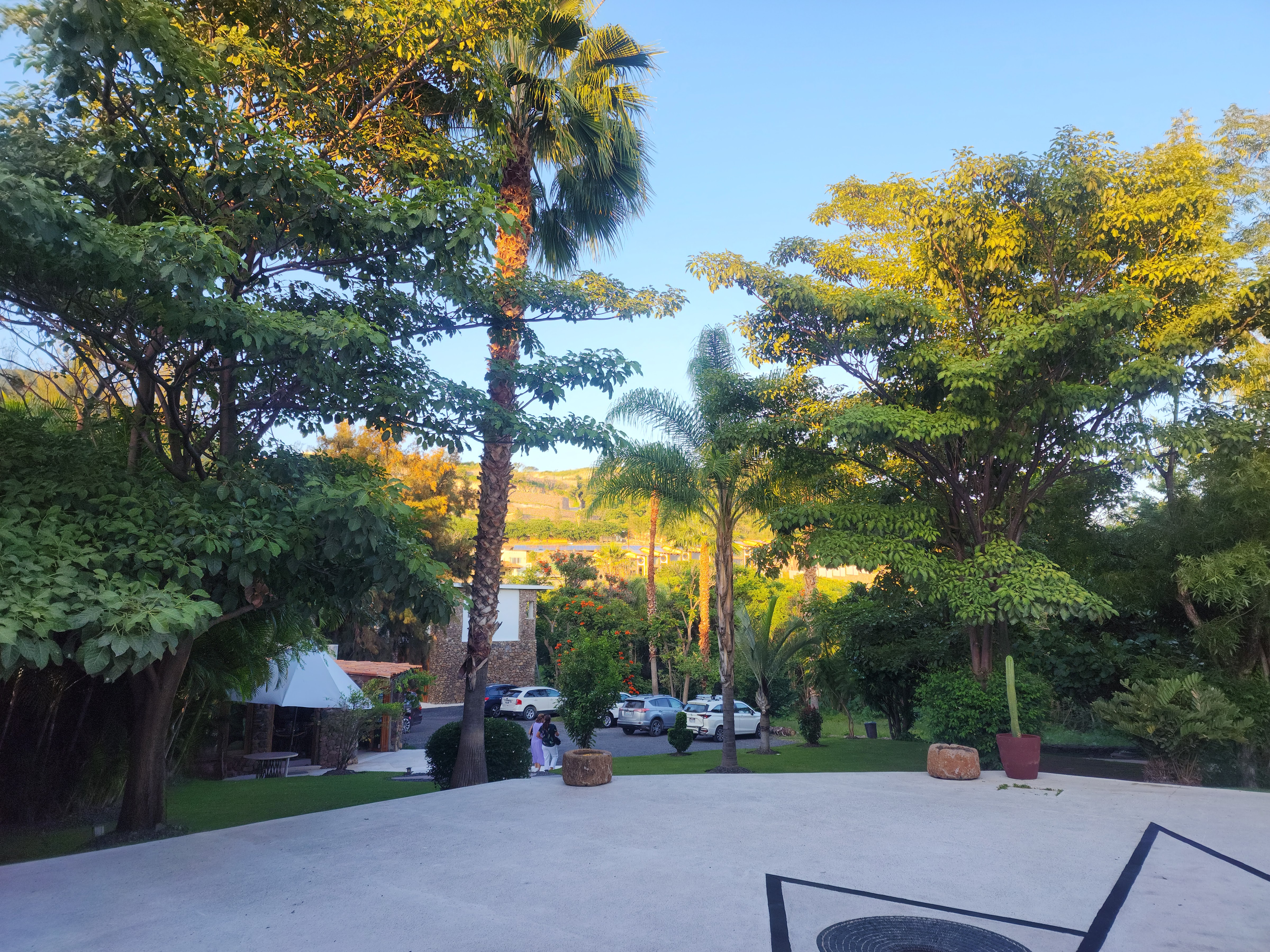 La Vita Bella image 7