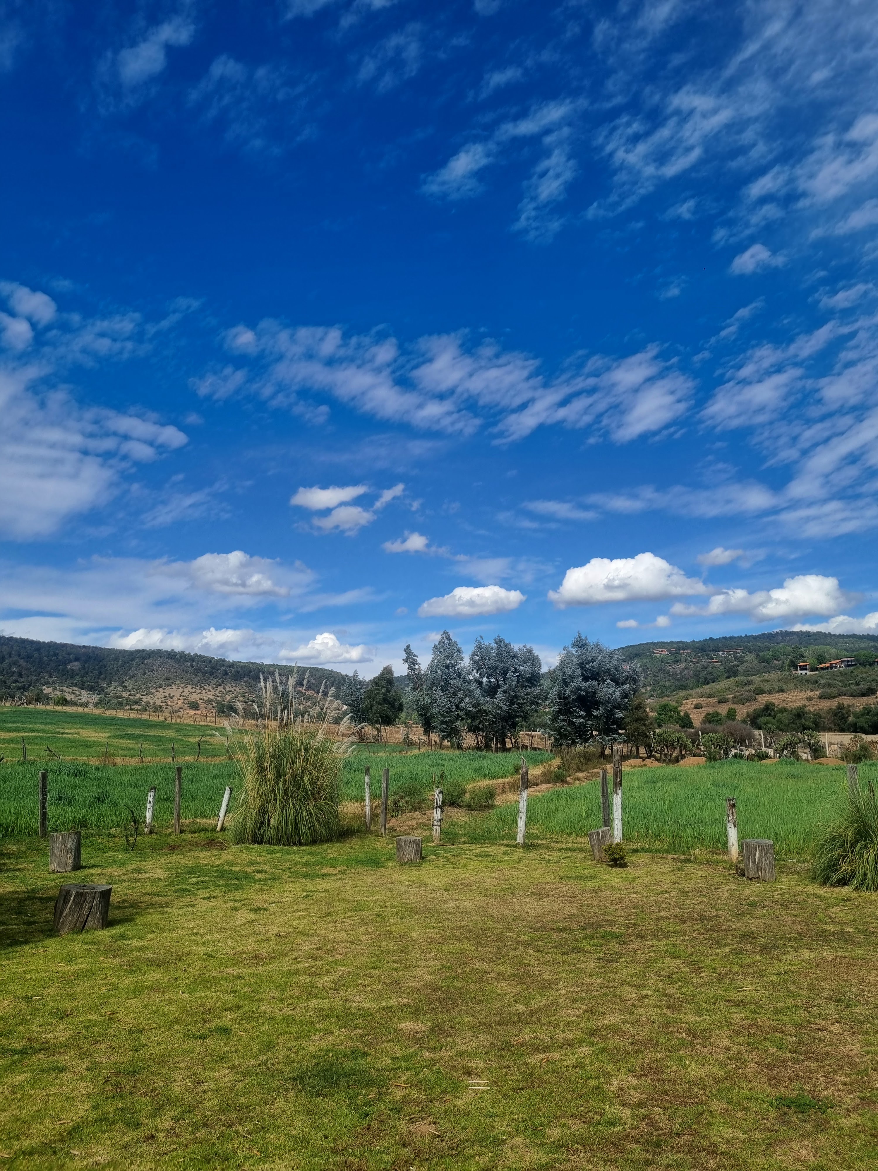 El Tonga Restaurante Campestre y Borrego Tapalpa image 10