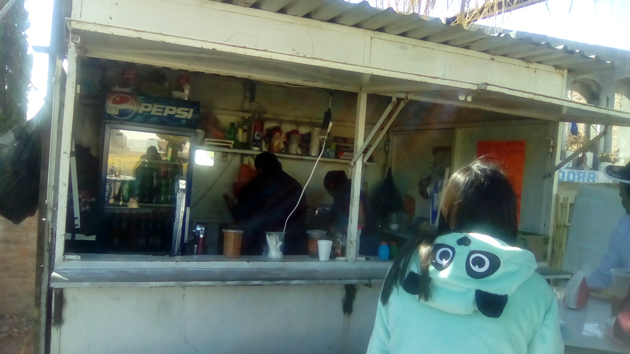 Gorditas Lily image 3