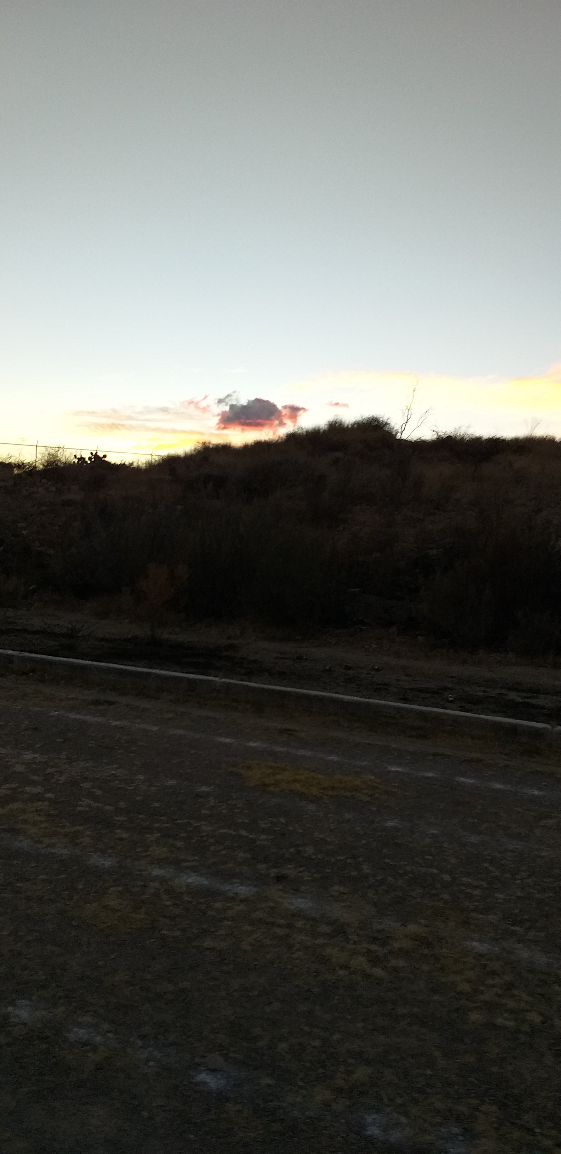 Gorditas Lily image 5