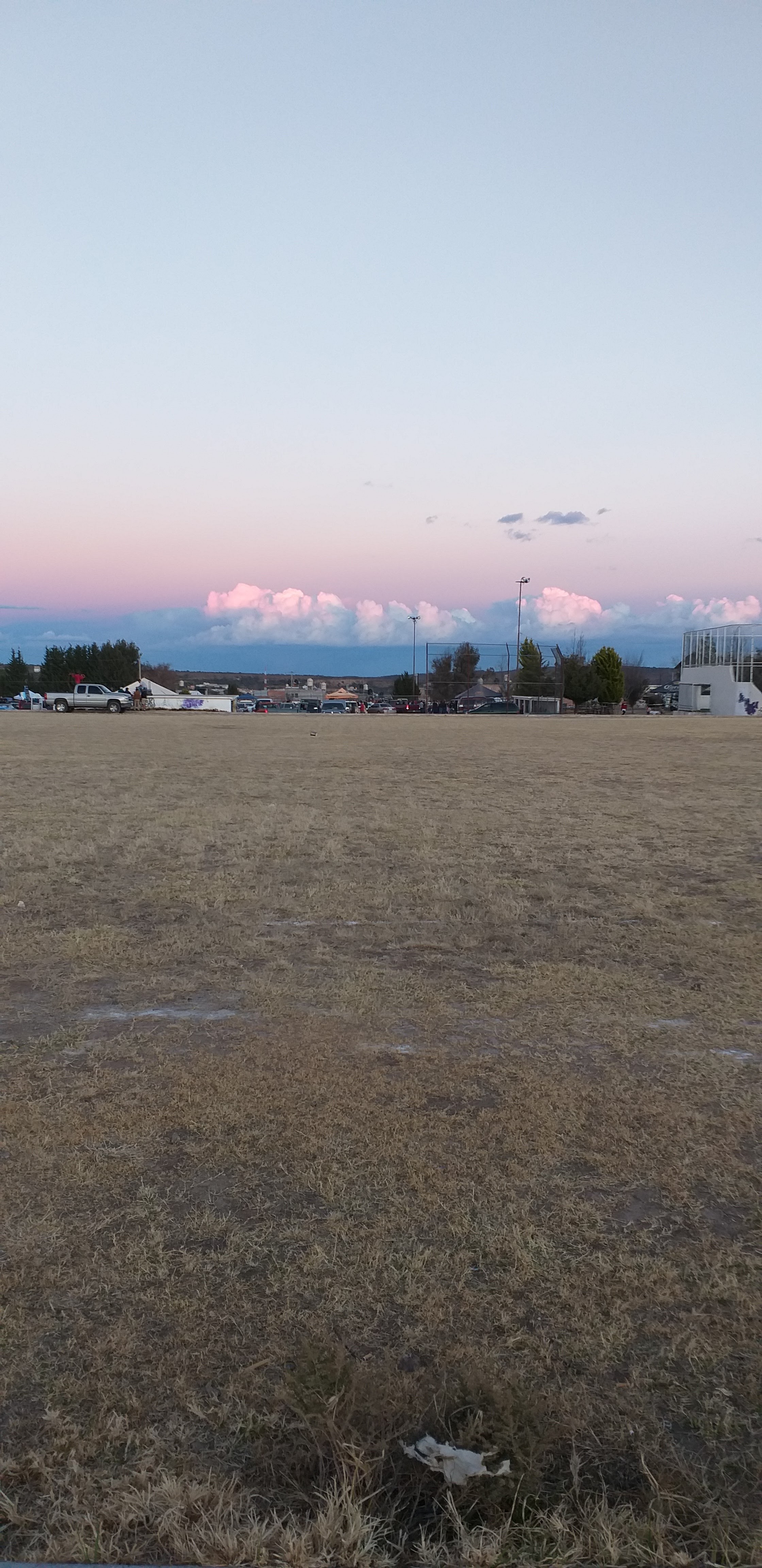 Gorditas Lily image 10