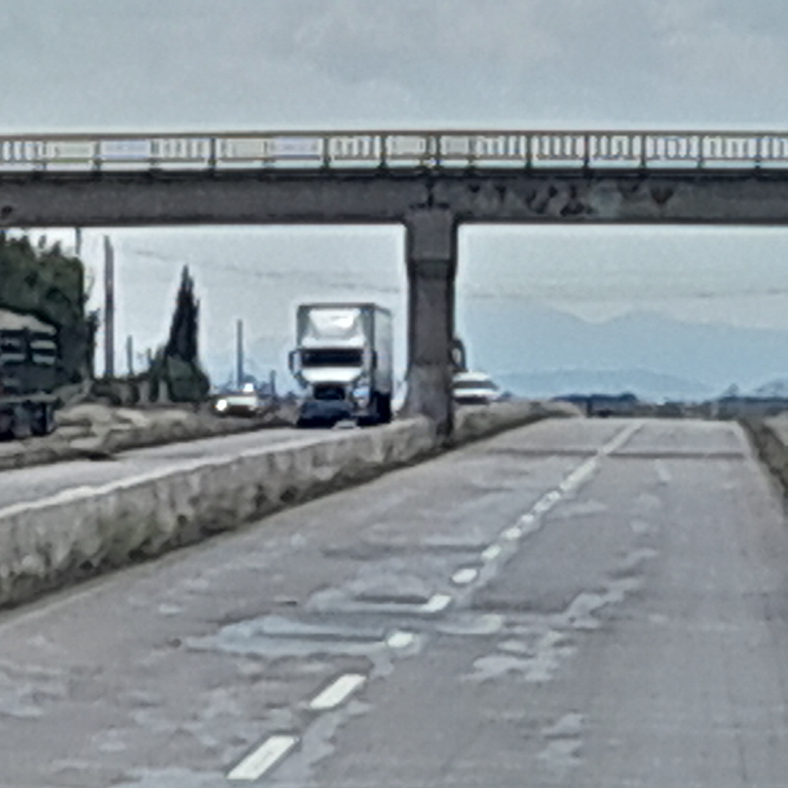 Restaurante y birrieria El Puente image 2