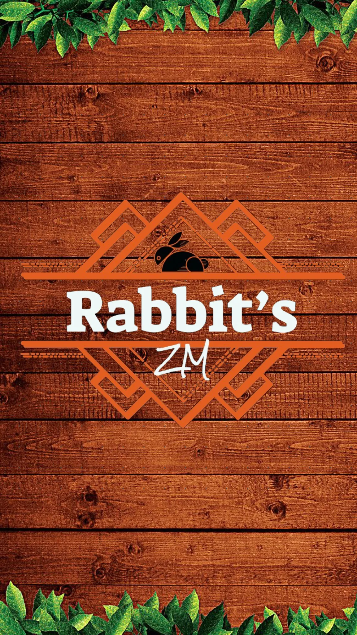Rabbit’s image 6