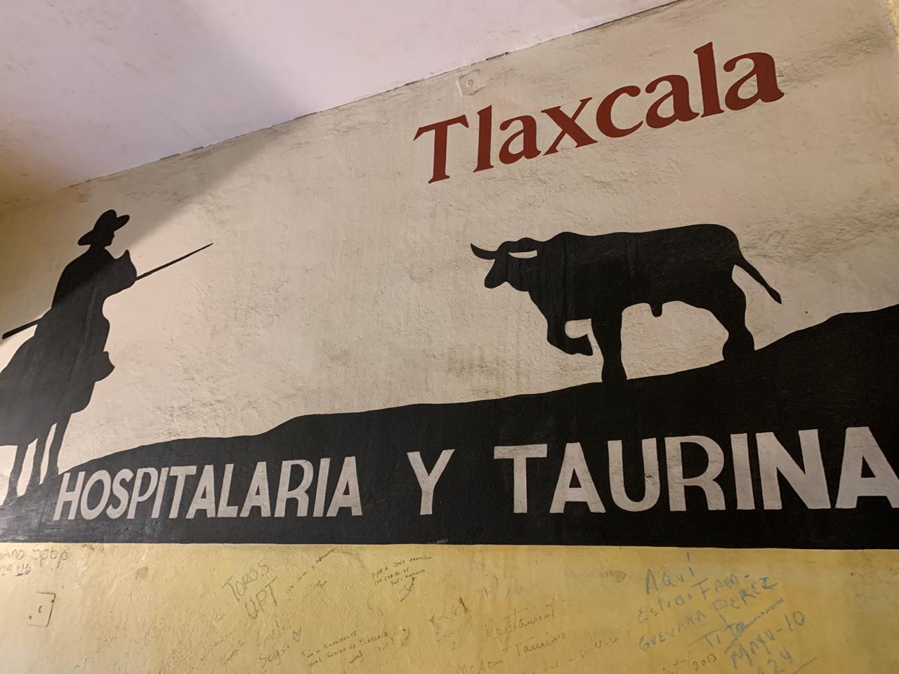 Meson Taurino image 9