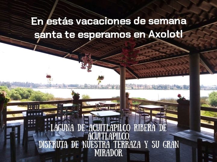 Axolotl Restaurante image 1