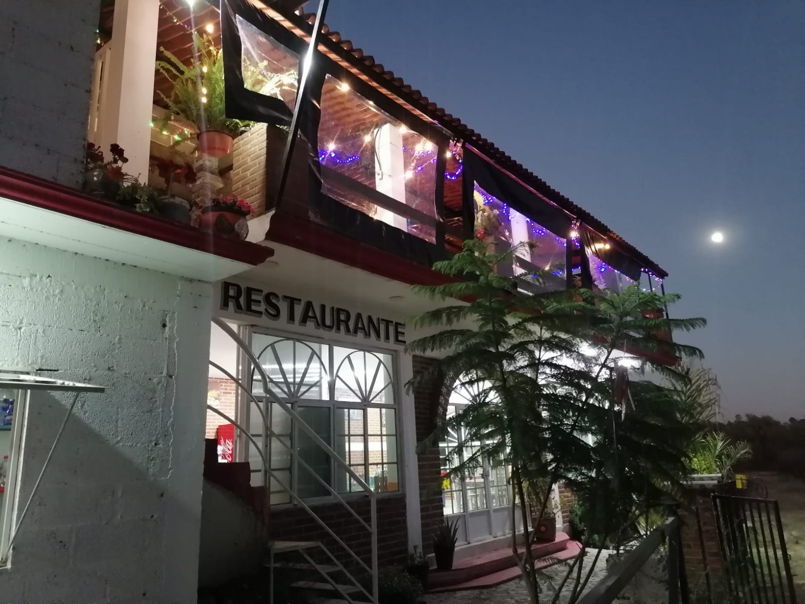 Axolotl Restaurante image 3