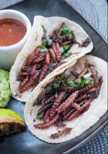 Axolotl Restaurante image 6