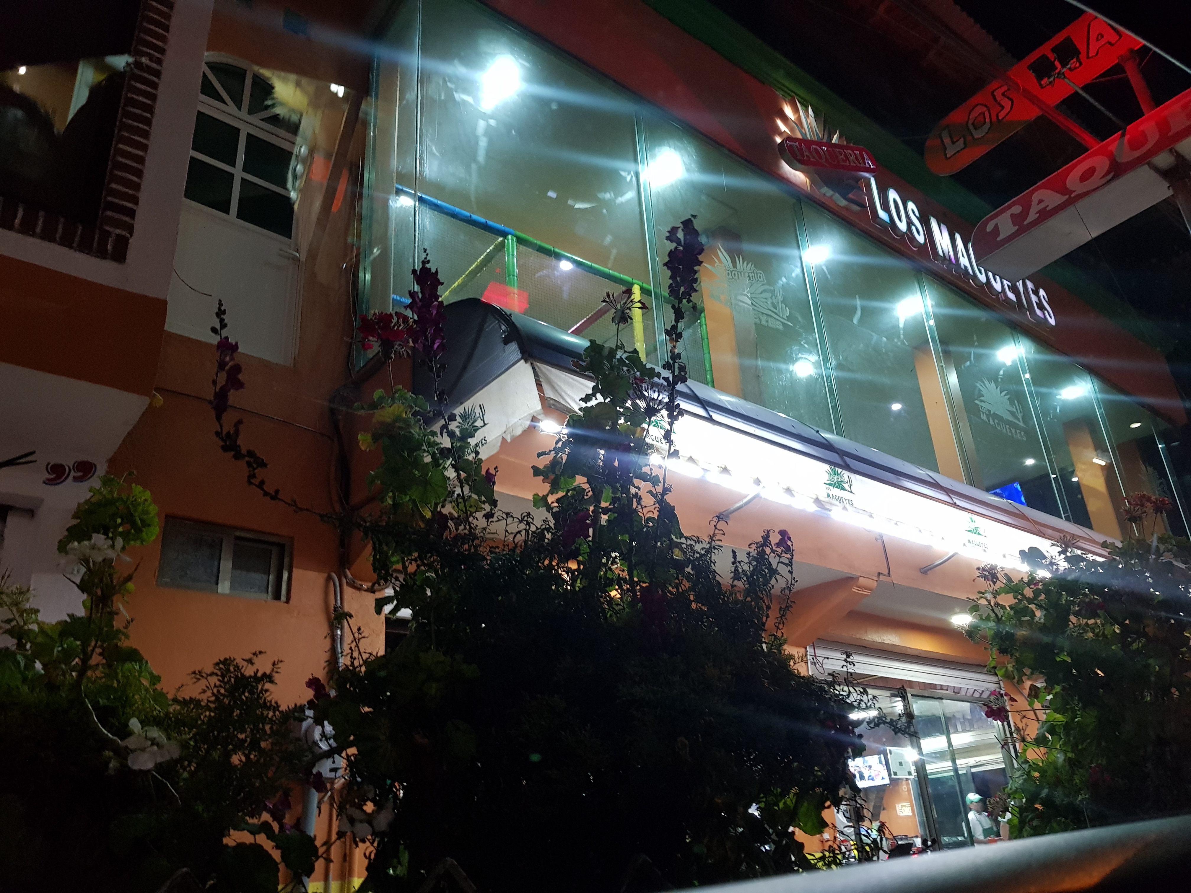 TAQUERIA LOS MAGUEYES Adolfo Lopez Mateos image 10