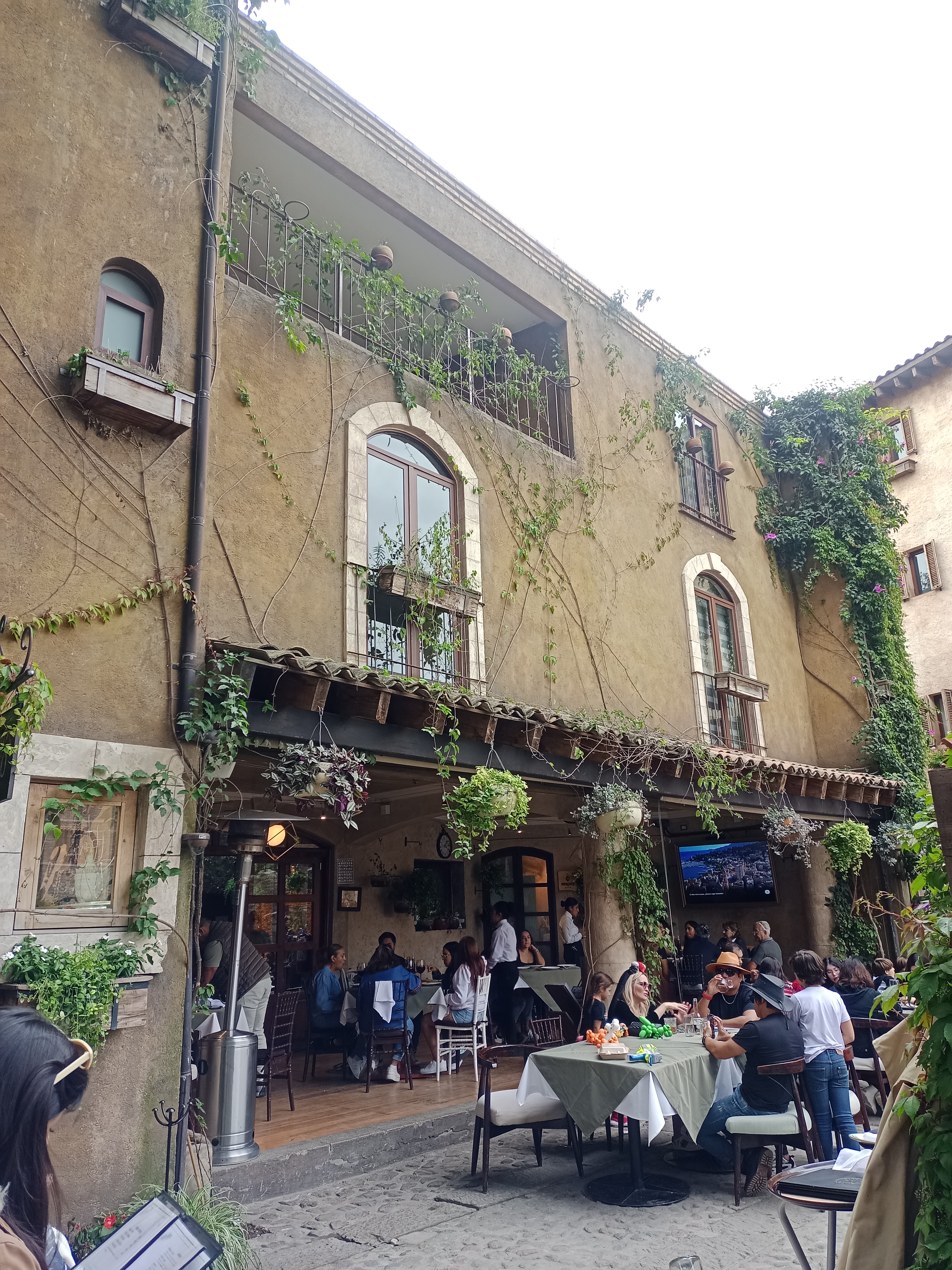 NUC Vermuteria image 3