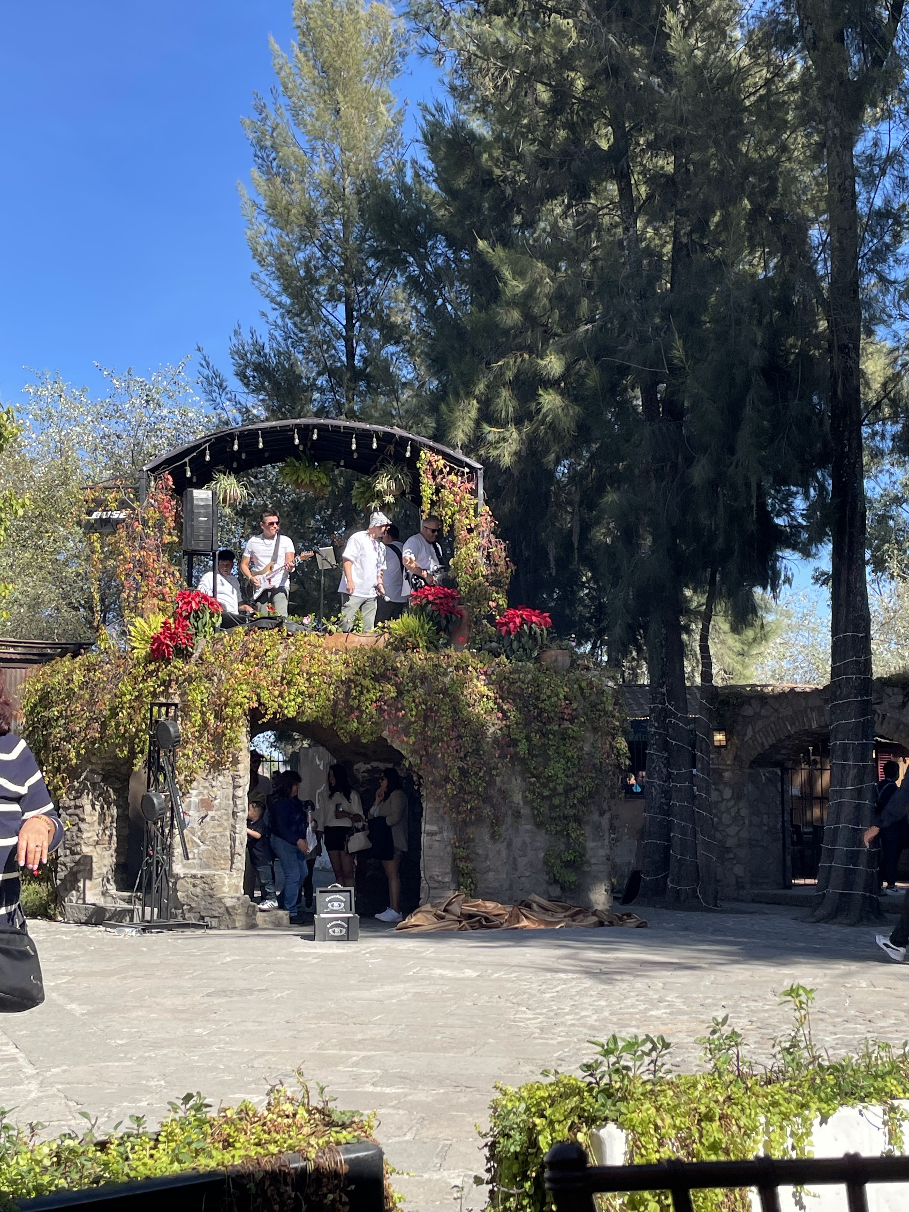 NUC Vermuteria image 8