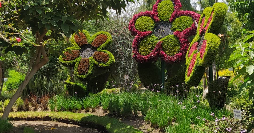 Restaurant El Eden image 3