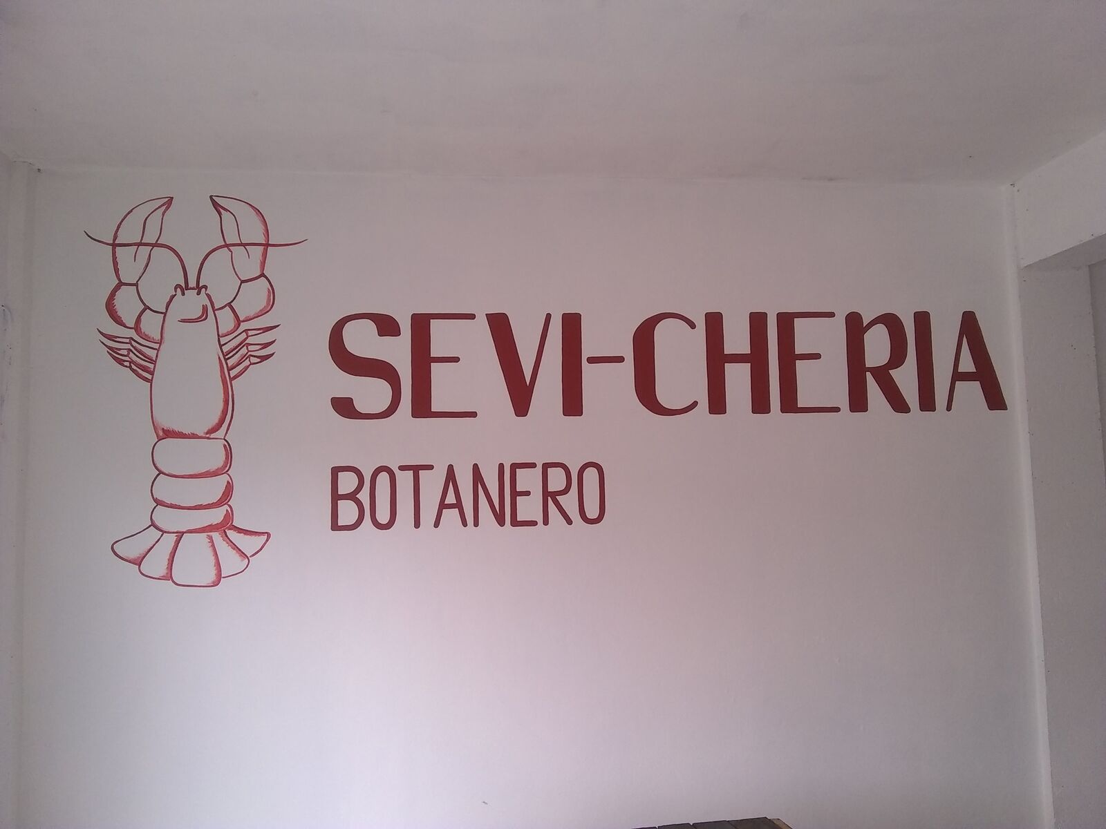 sevi-cheria BOTANERO image 9