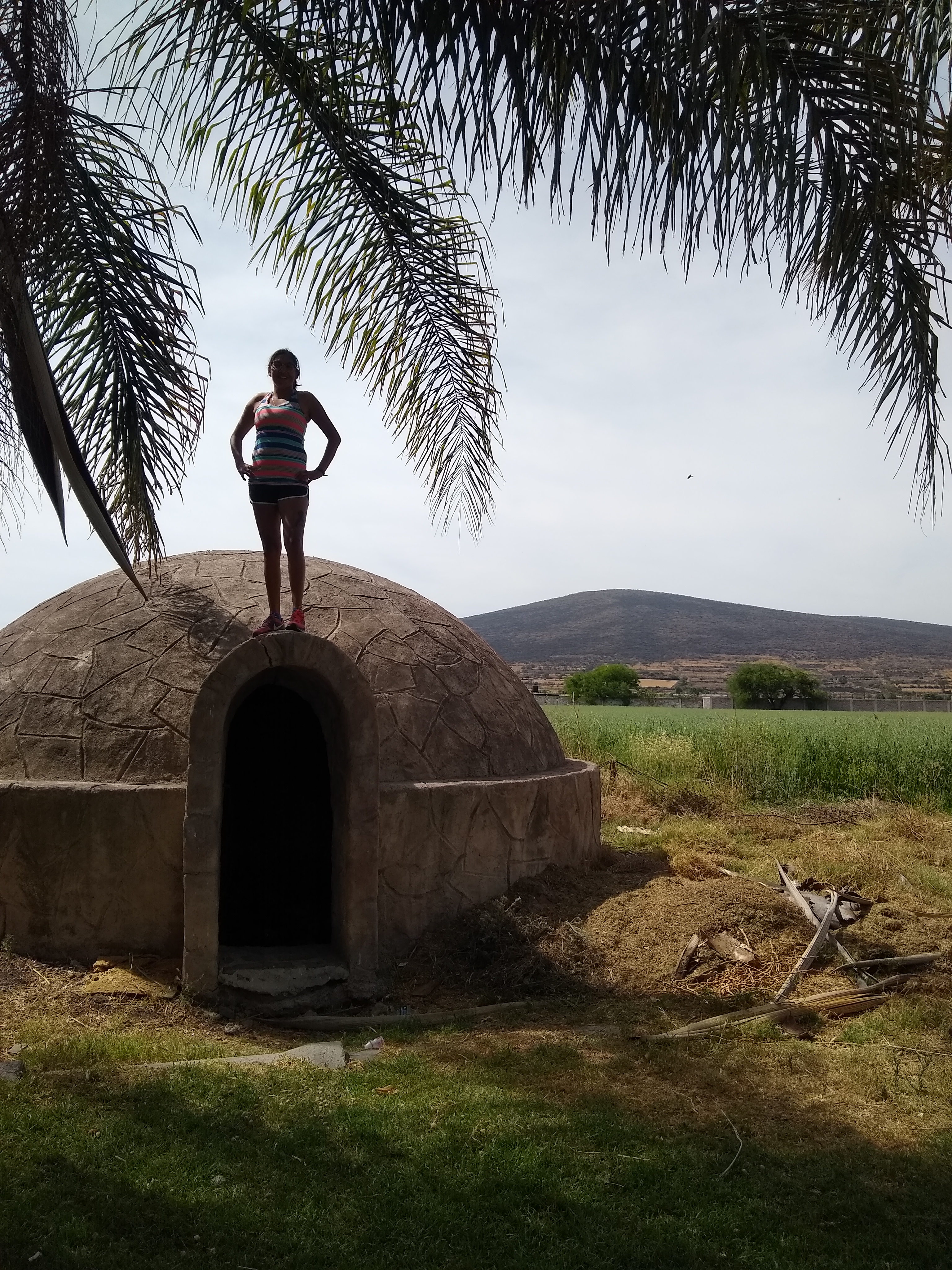 Restaurante San Francisco image 4