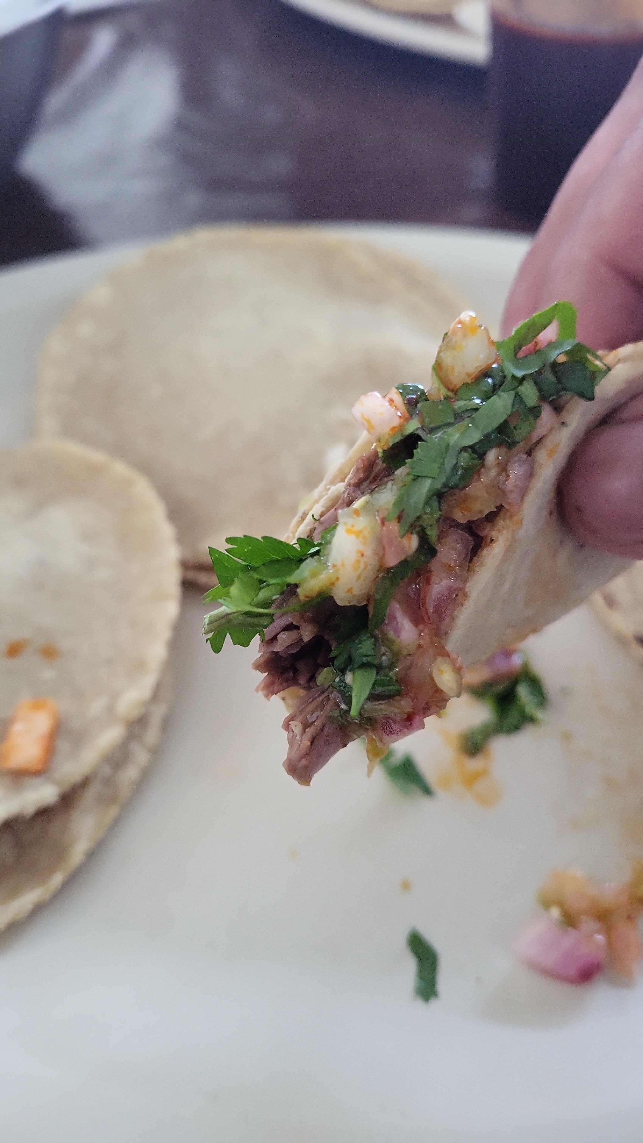 Restaurant Mariscos Los Tarascos image 2