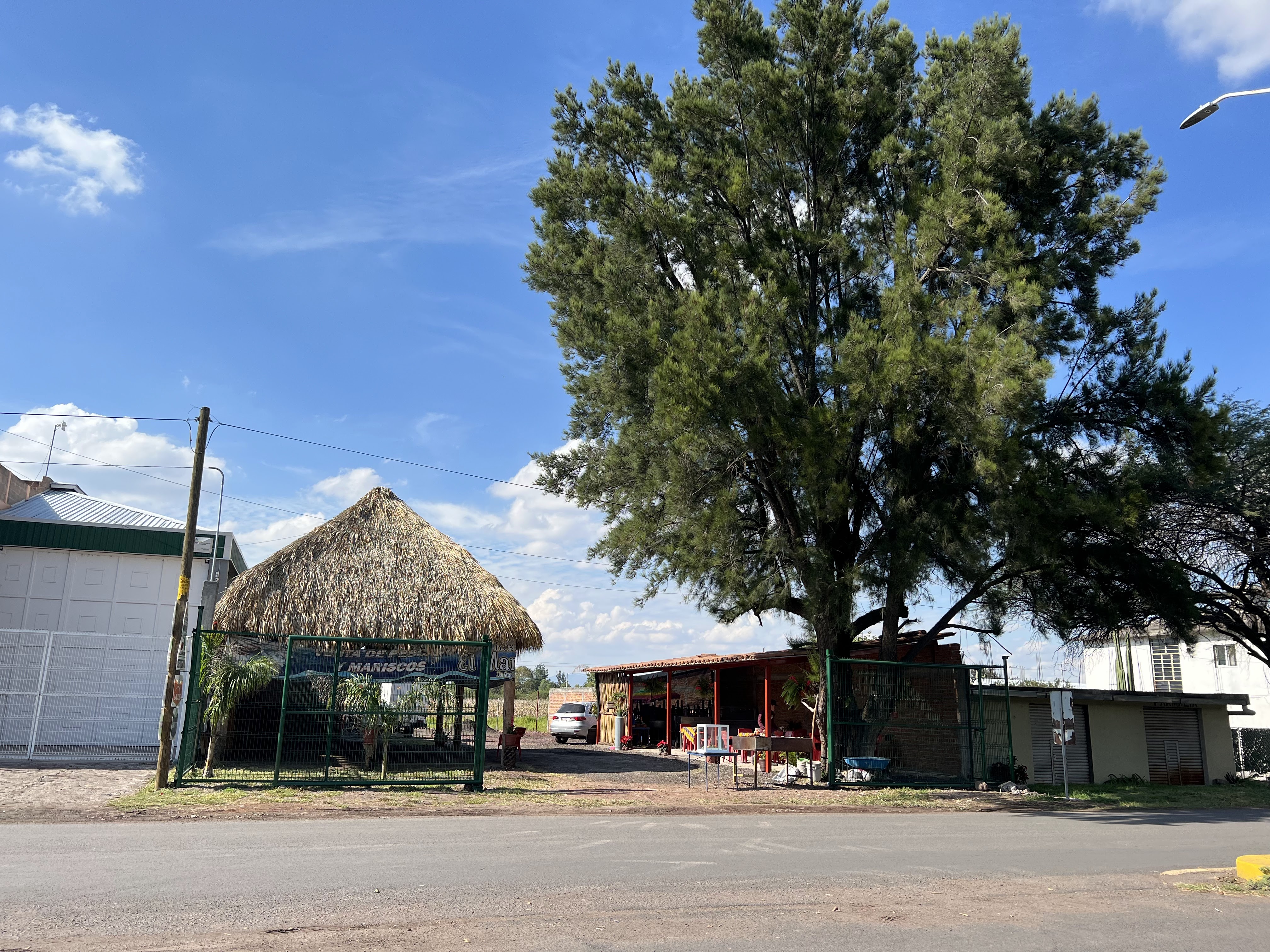 Restaurante La Palapa image 10