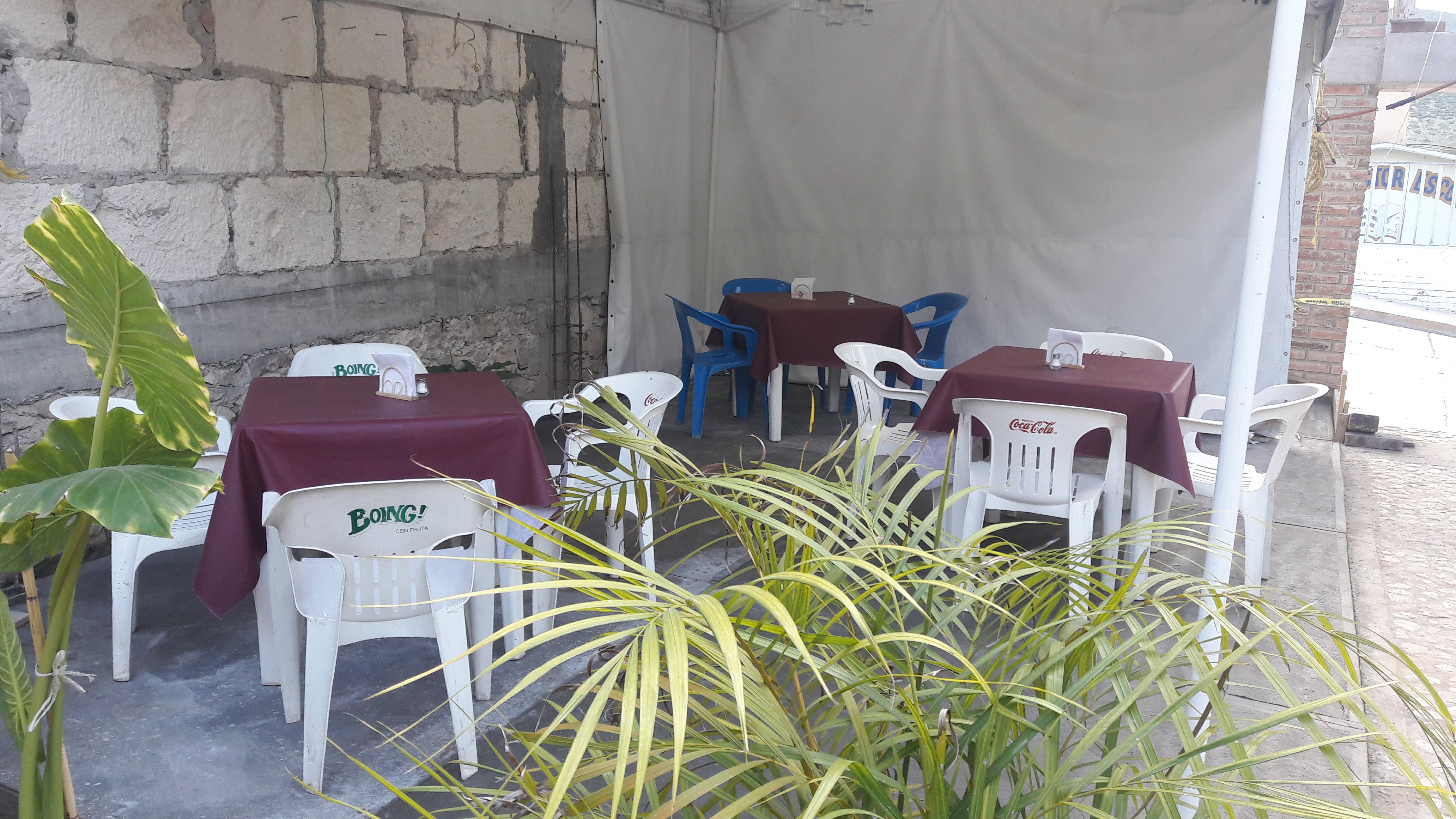 TACOS "El Primo" image 10