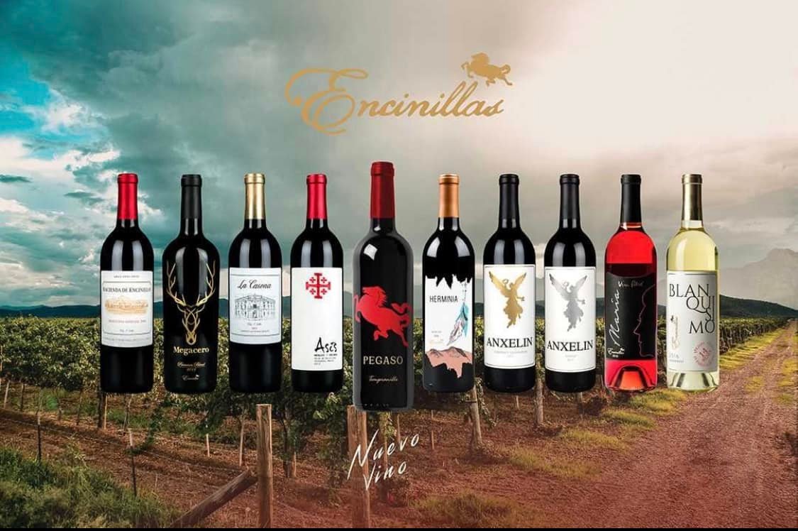 Amigo Bistro & Galeria image 9