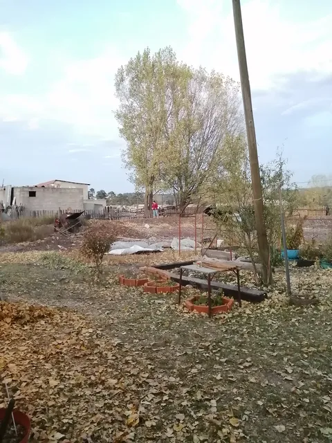 LAS TORTUGAS image 1