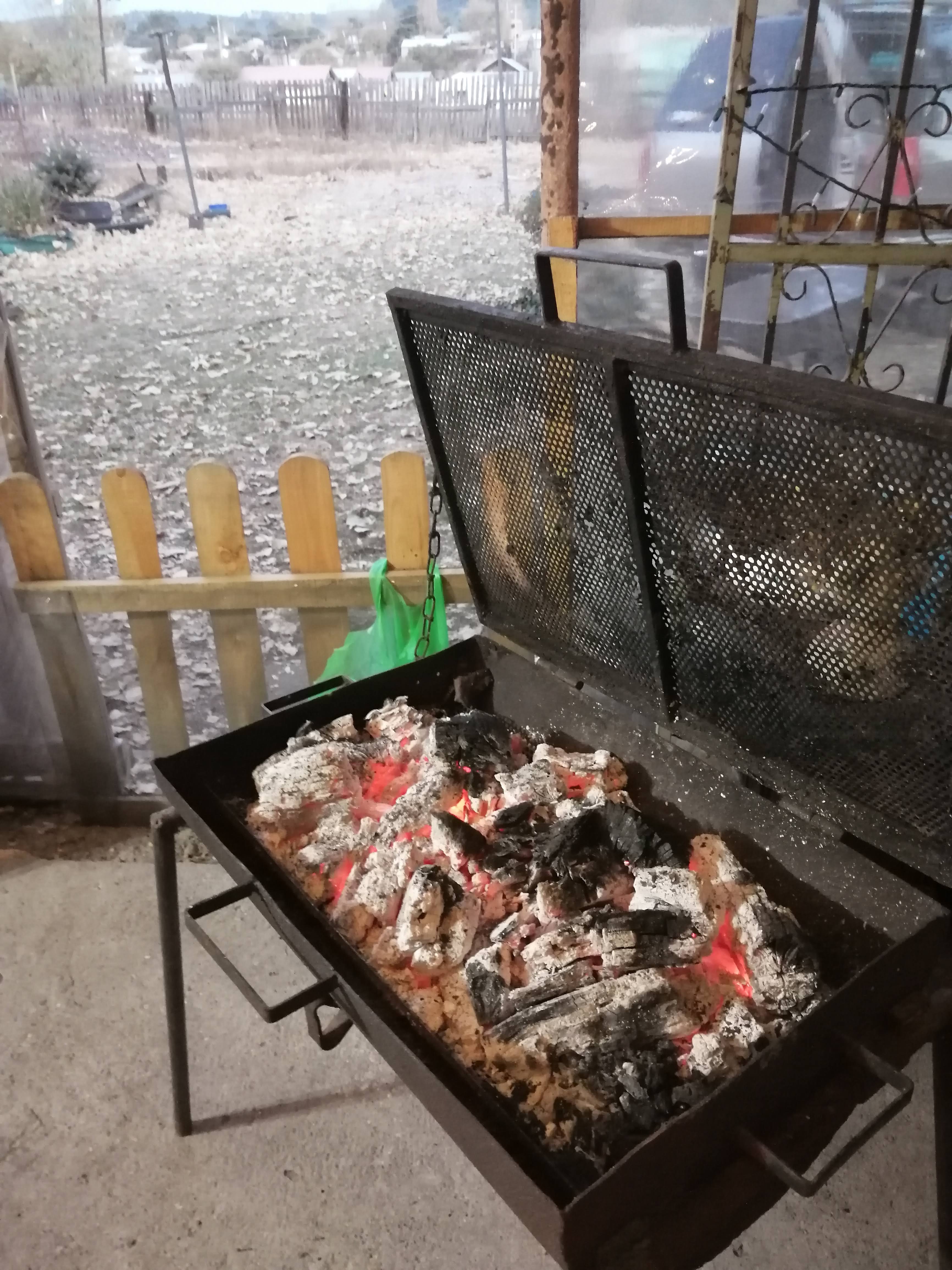 LAS TORTUGAS image 2