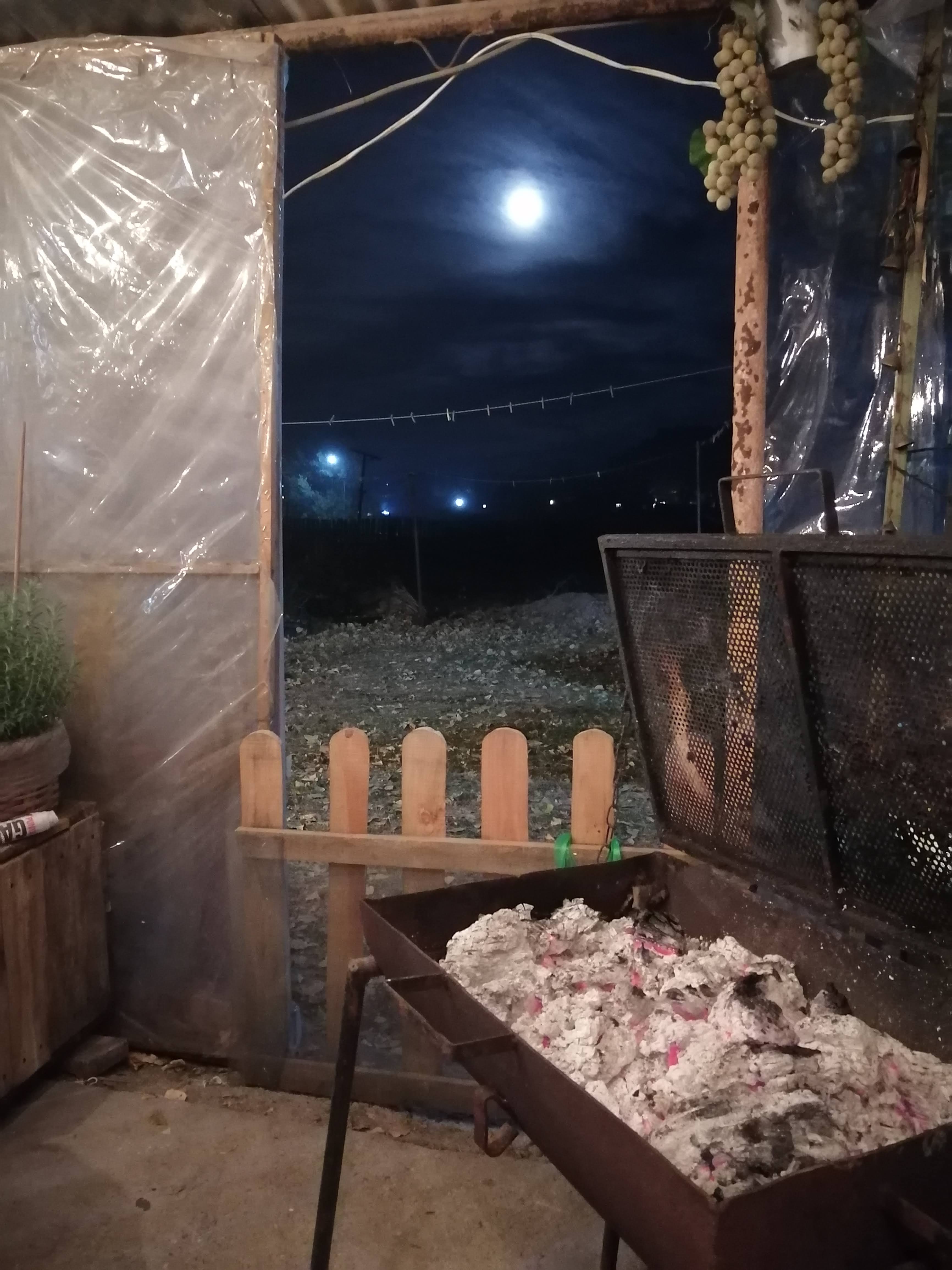 LAS TORTUGAS image 3