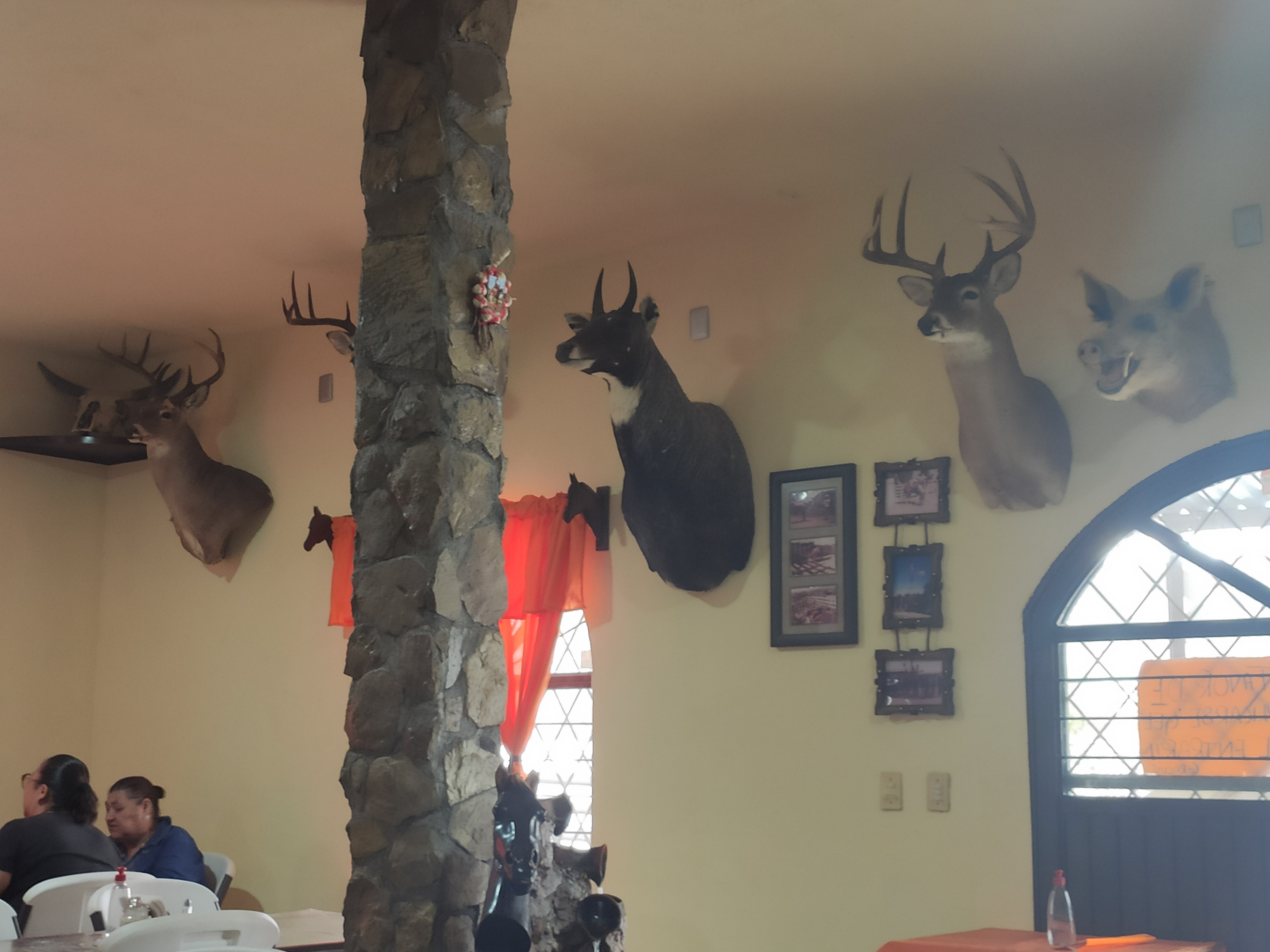 Restaurante Rancho Viejo image 7