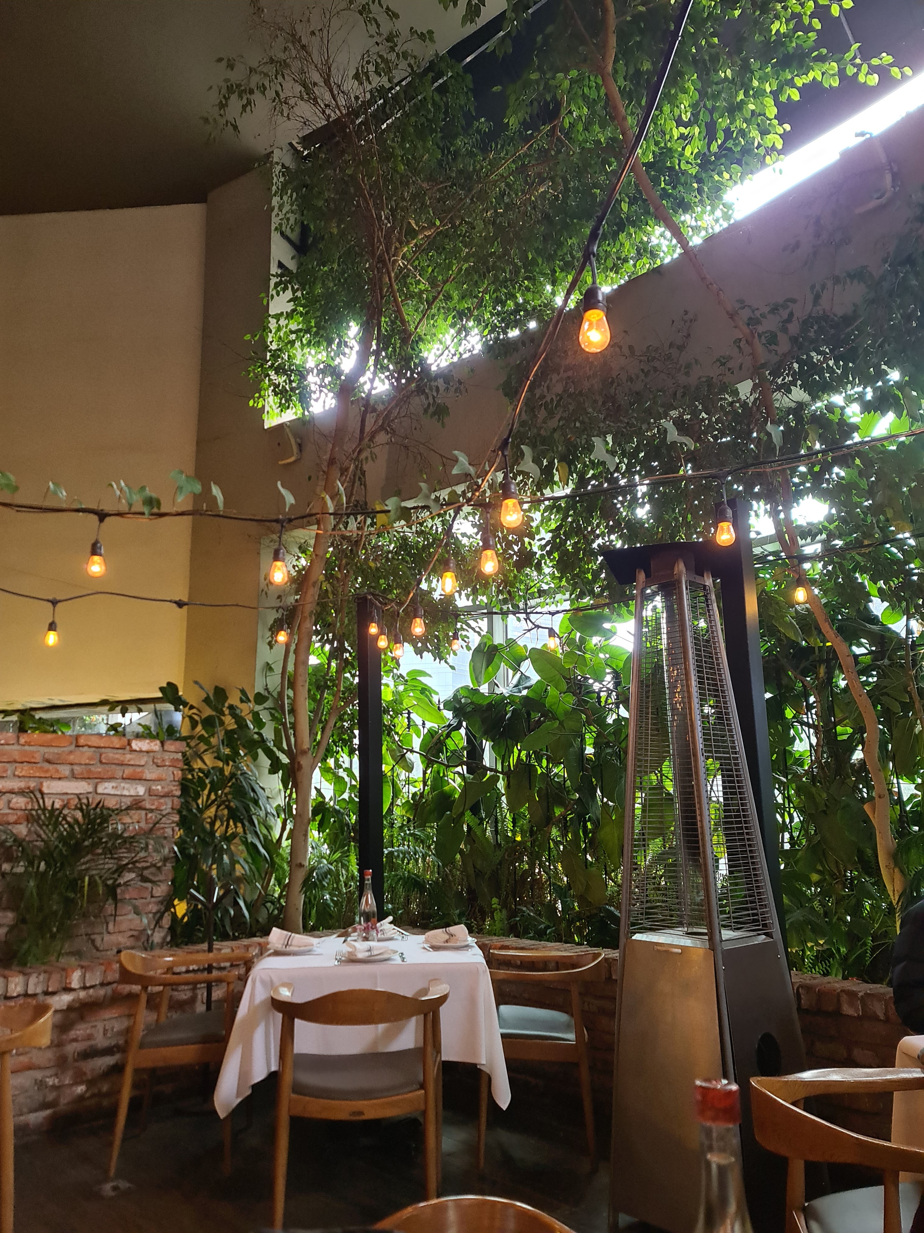 Restaurante Torino Santa Fe image 5