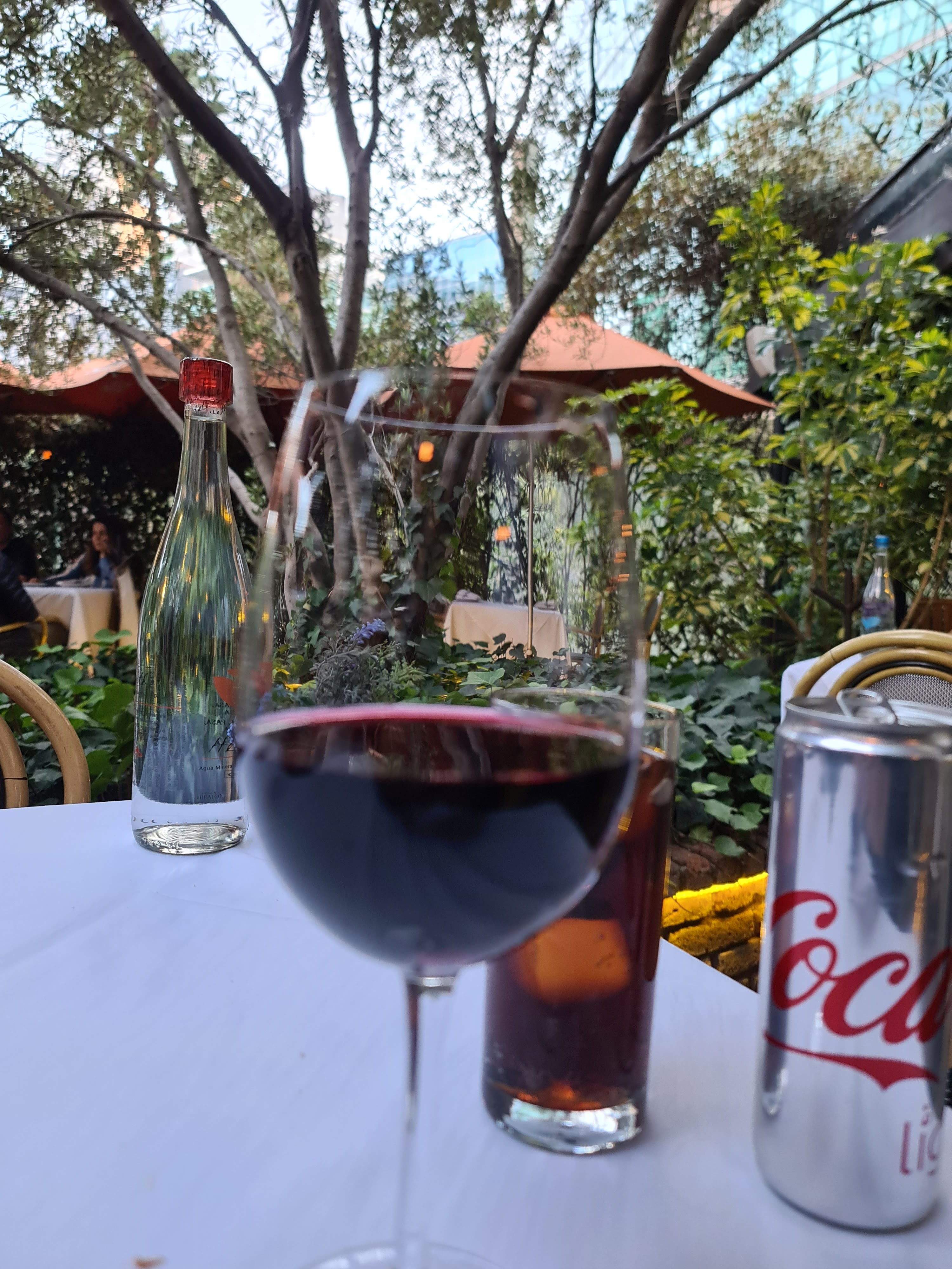 Restaurante Torino Santa Fe image 6