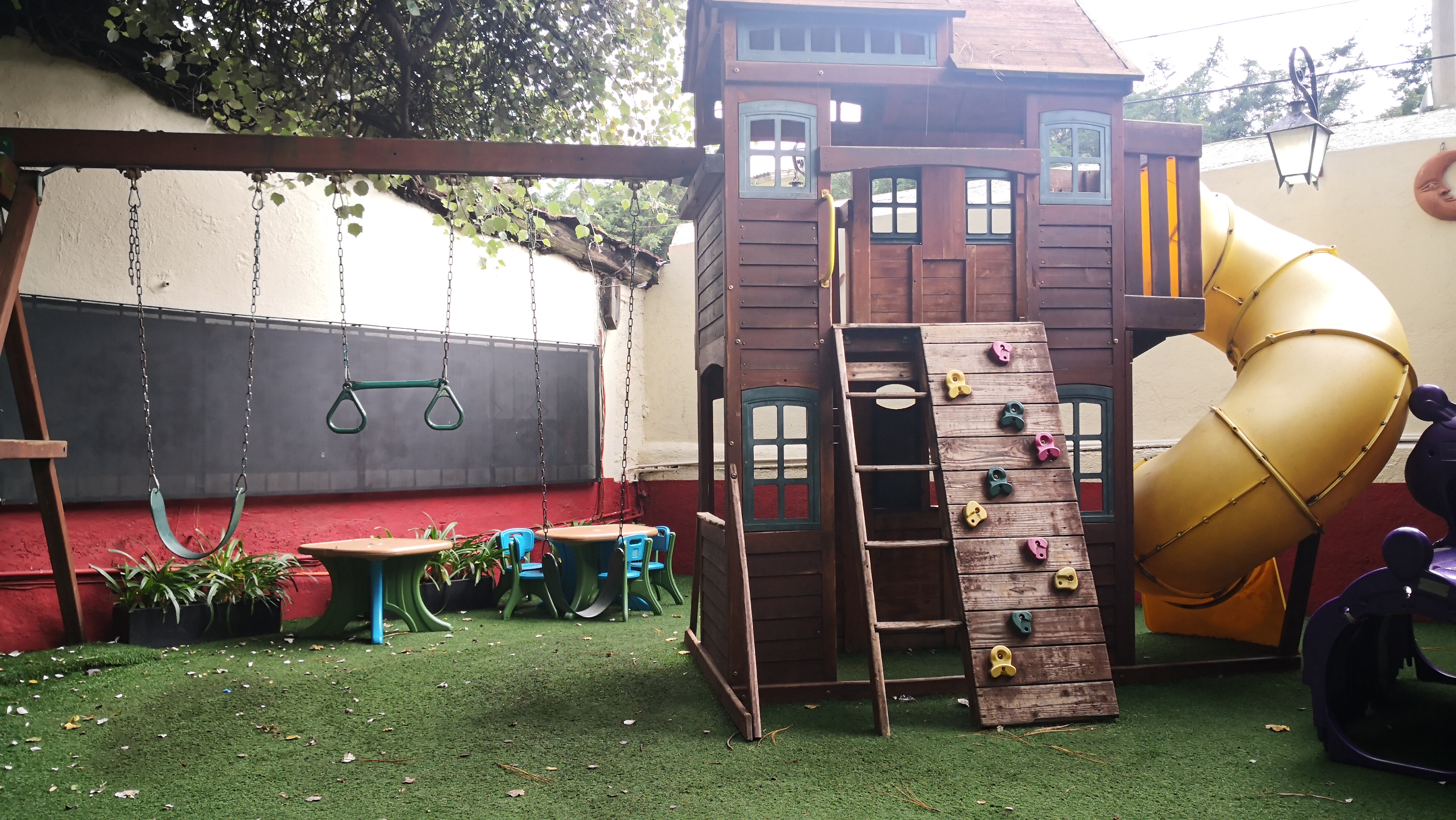 Aroma Mezquite image 4