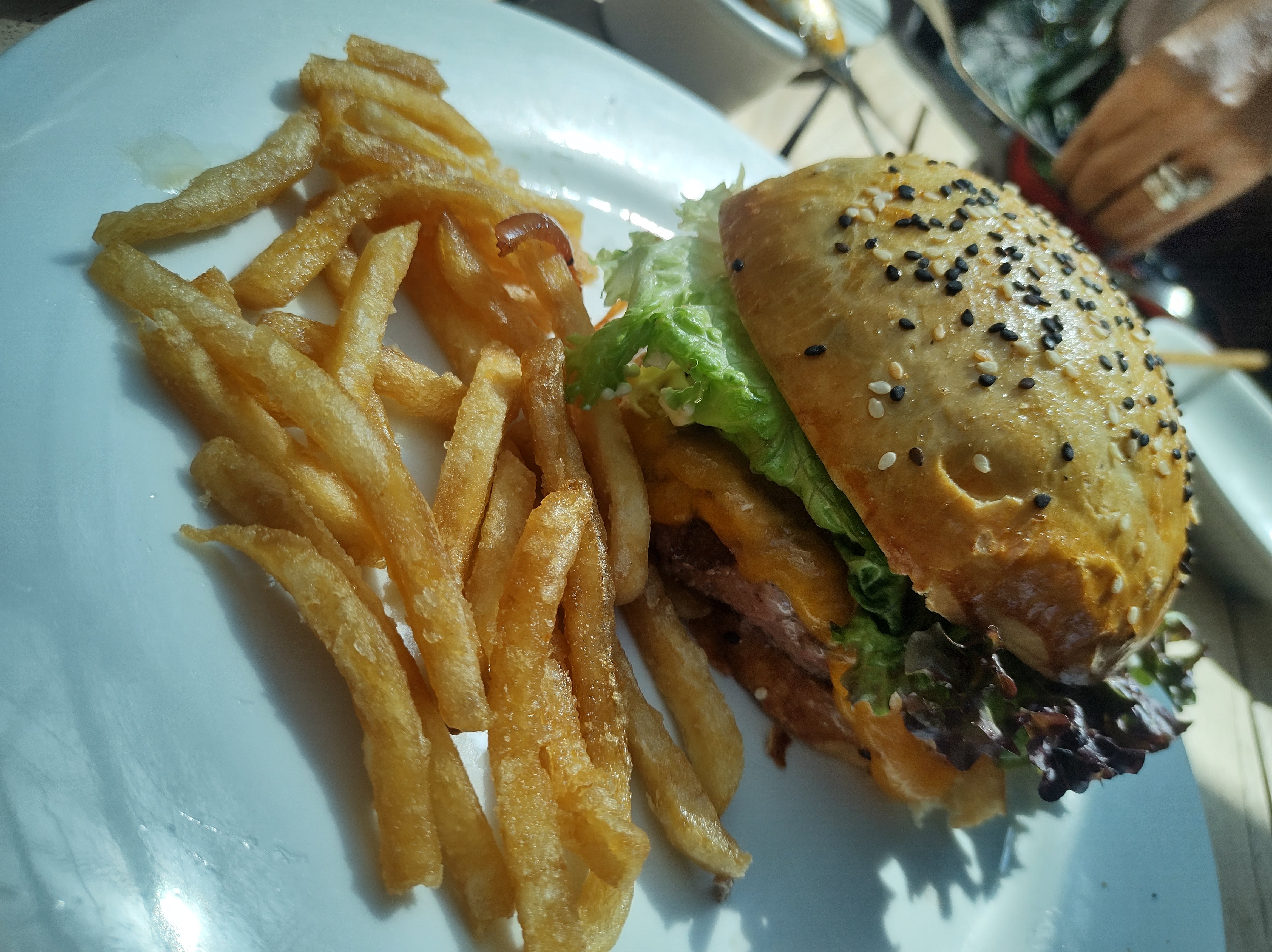 Giornale Paseo Interlomas image 3