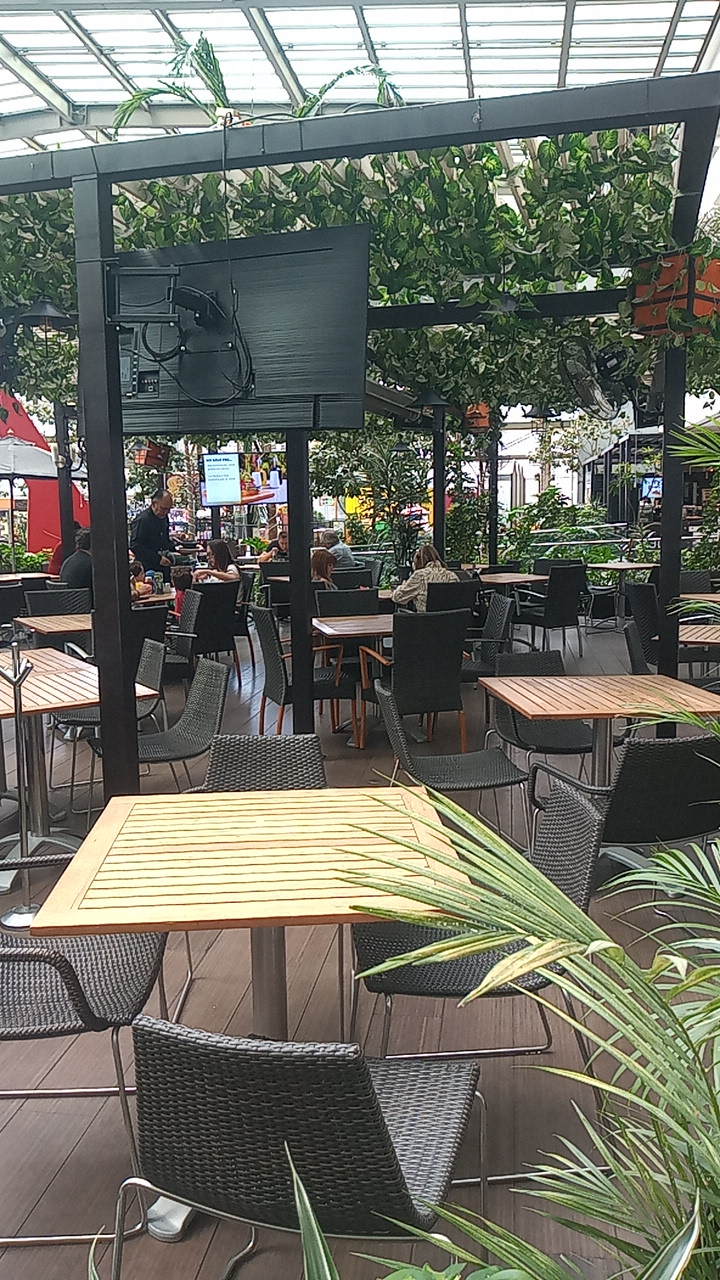 Giornale Parque Interlomas image 7