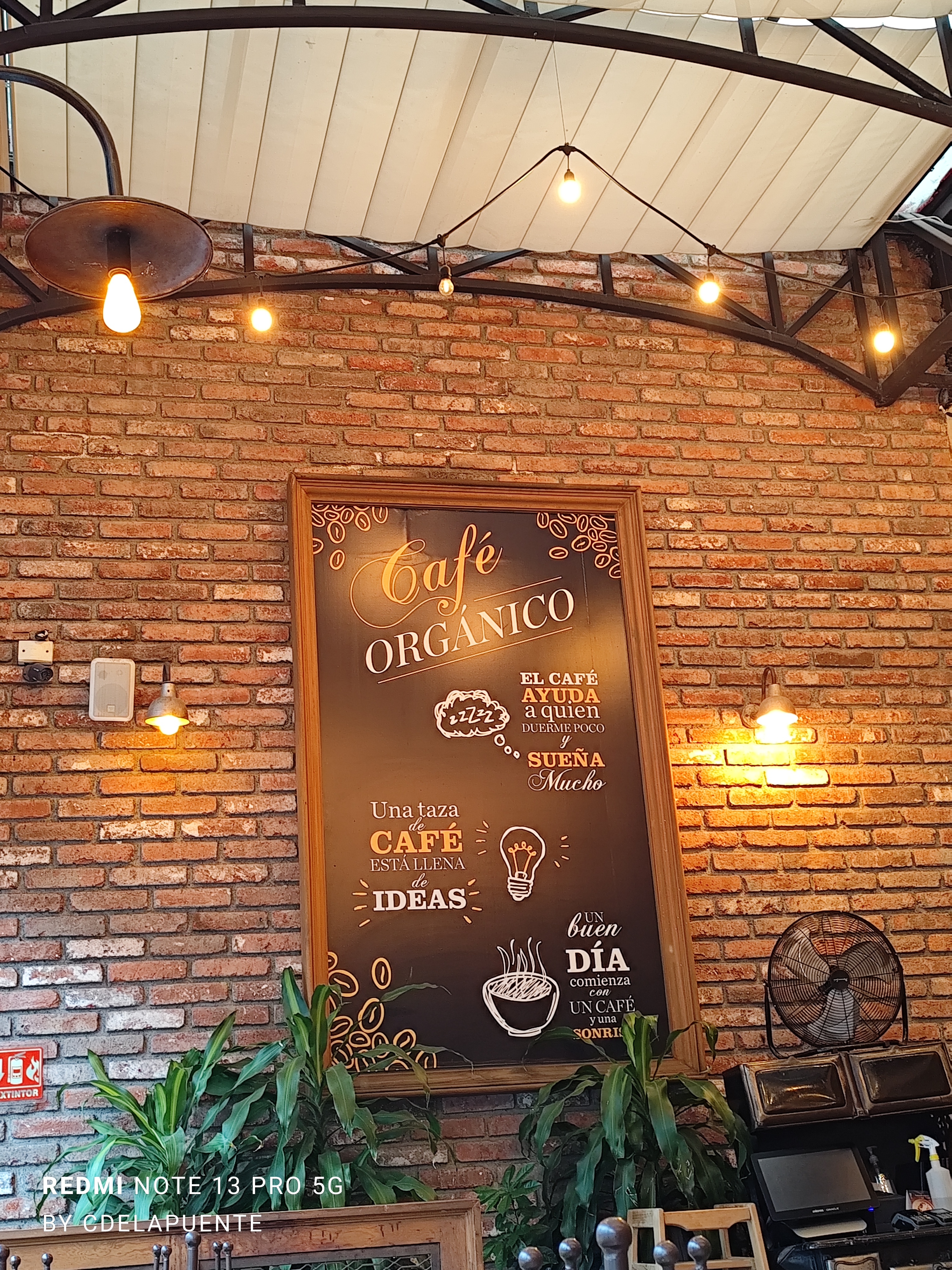 Le Pain Quotidien image 5