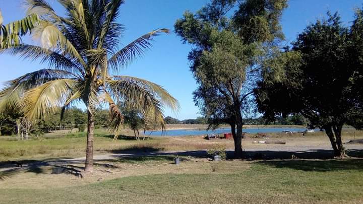 Restaurant Maravillas. Ozuluama Veracruz image 9