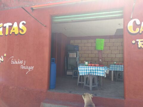 Ricas Carnitas Román image 3