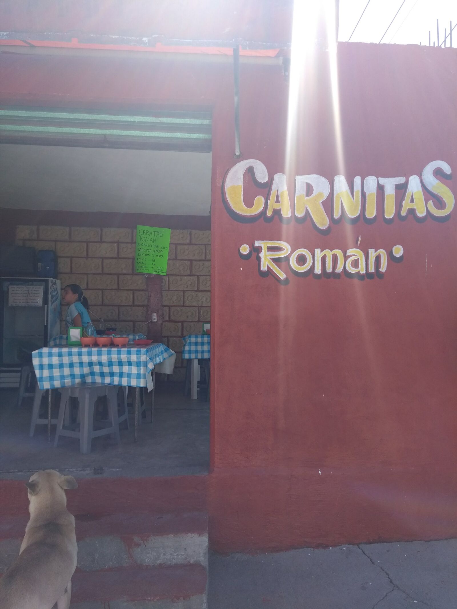 Ricas Carnitas Román image 4