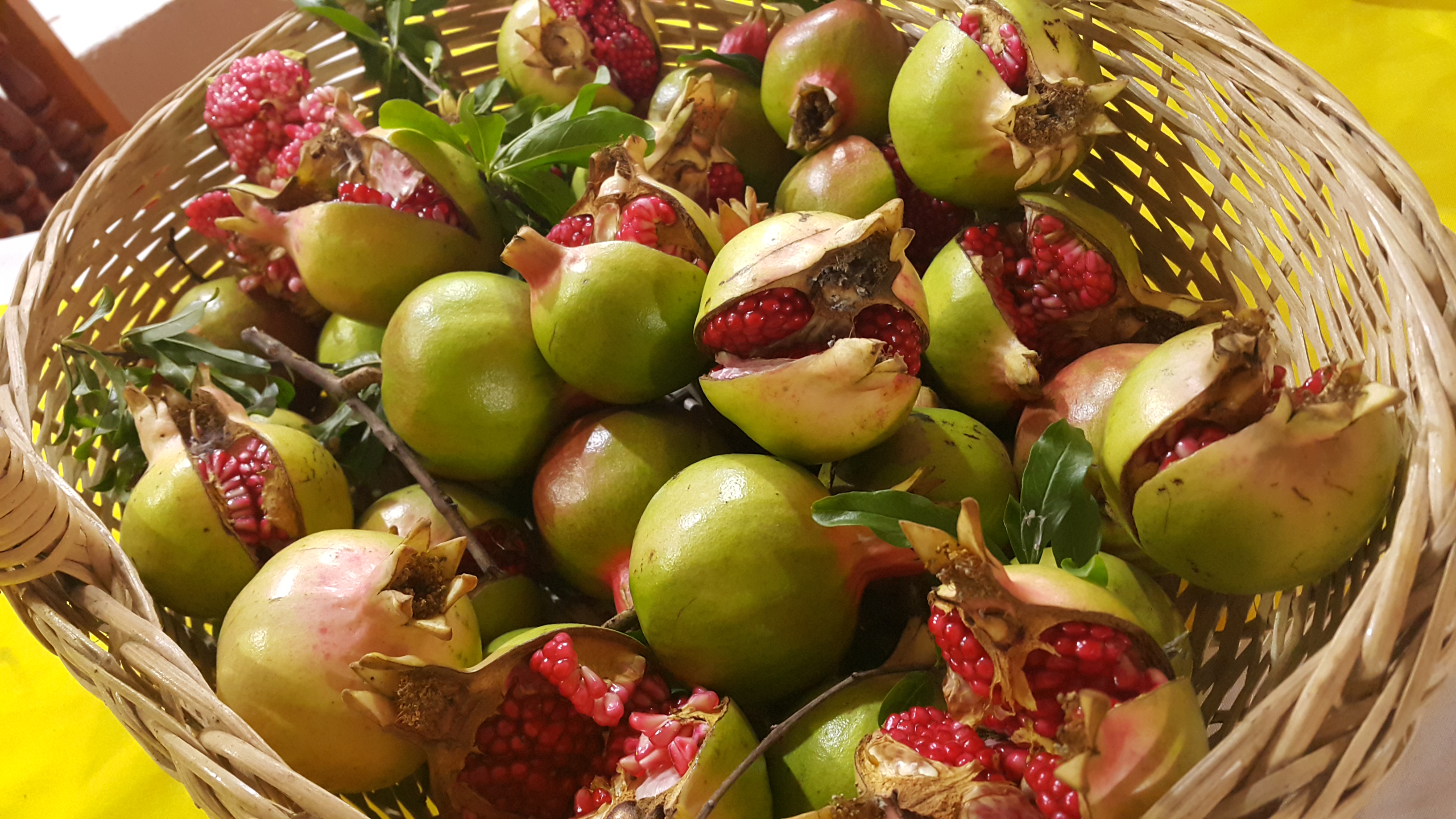 fonda de la hacienda image 2