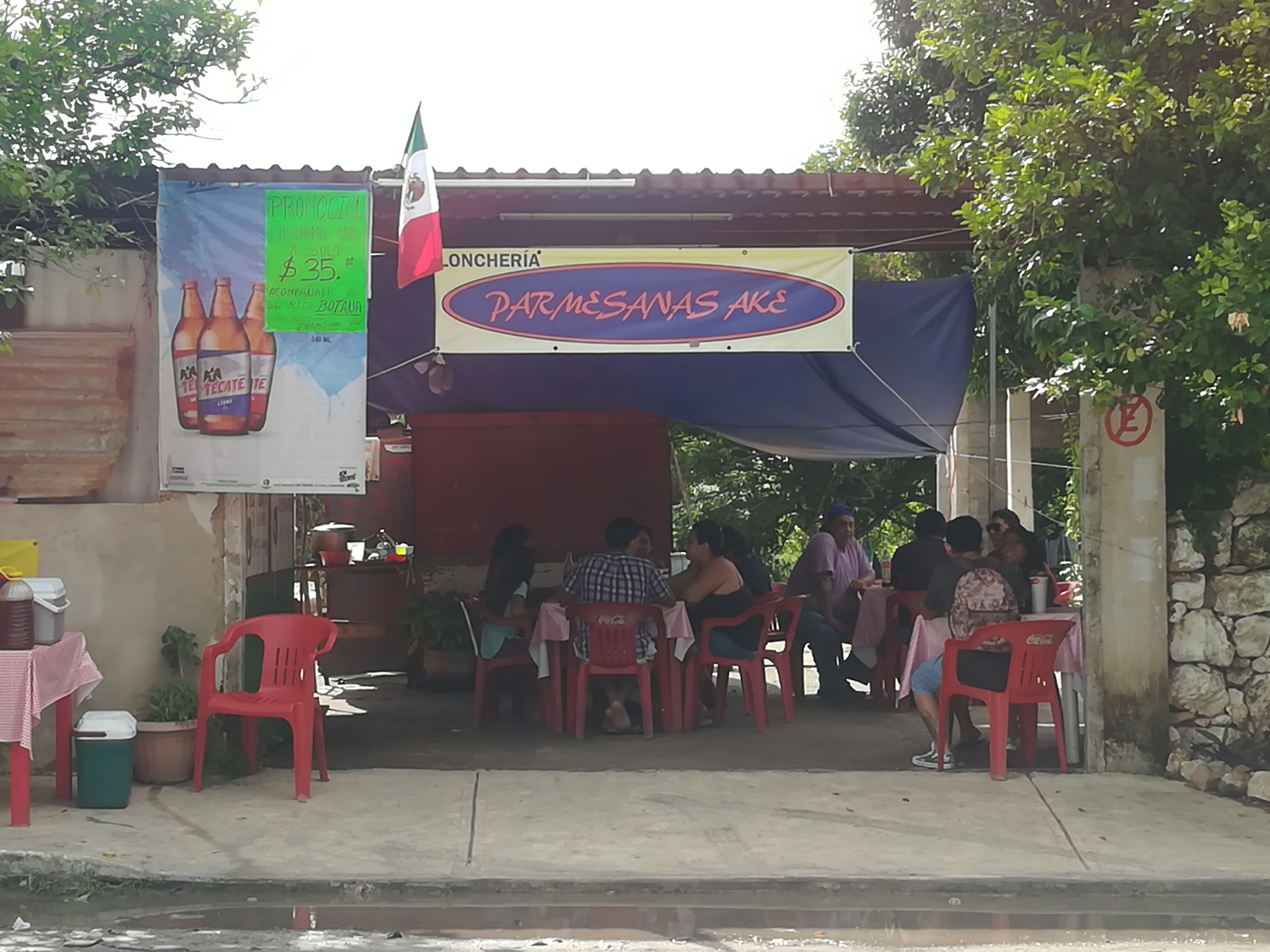 Parmesanas ake image 6