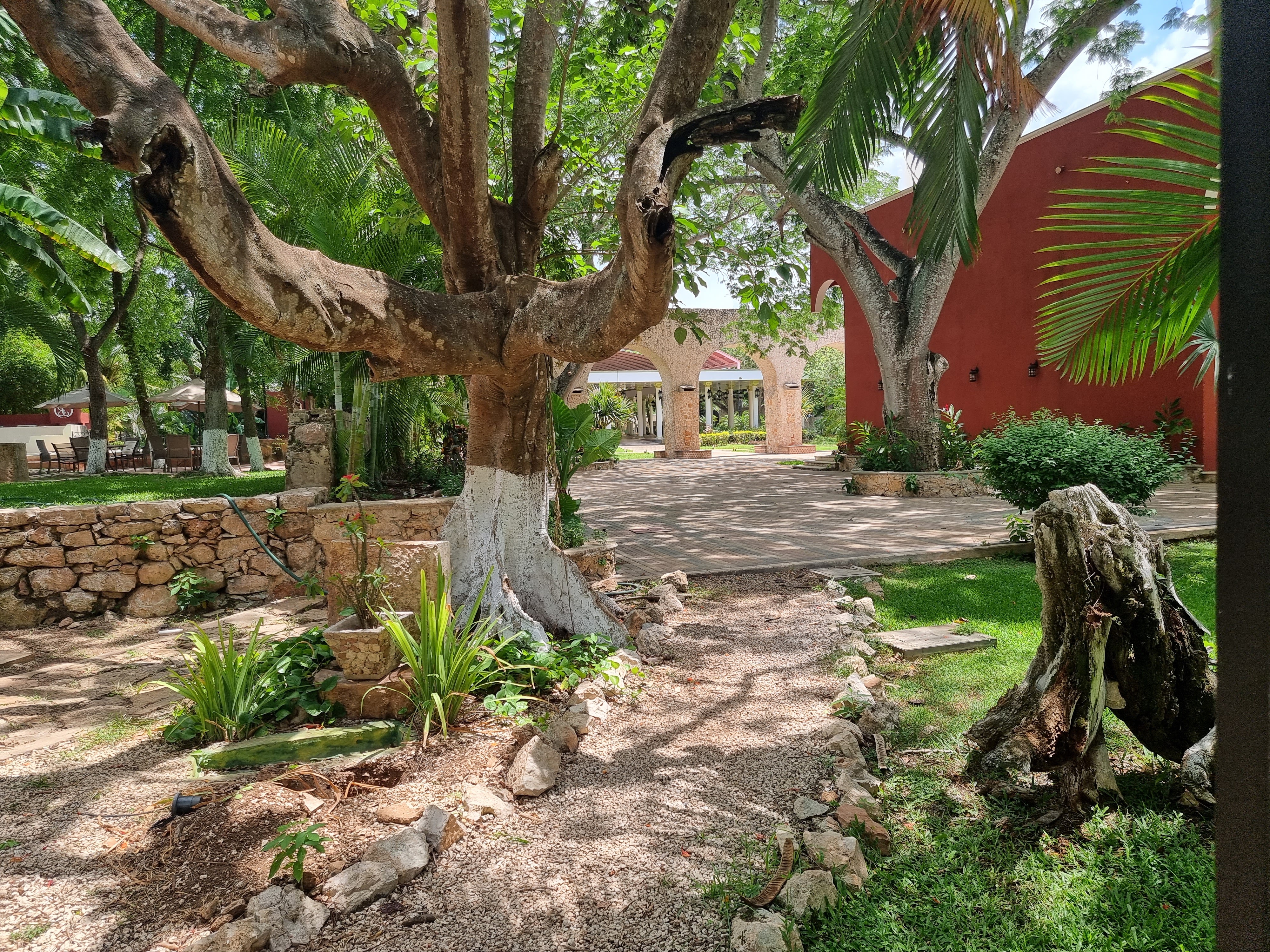 Restaurante Valentina image 5